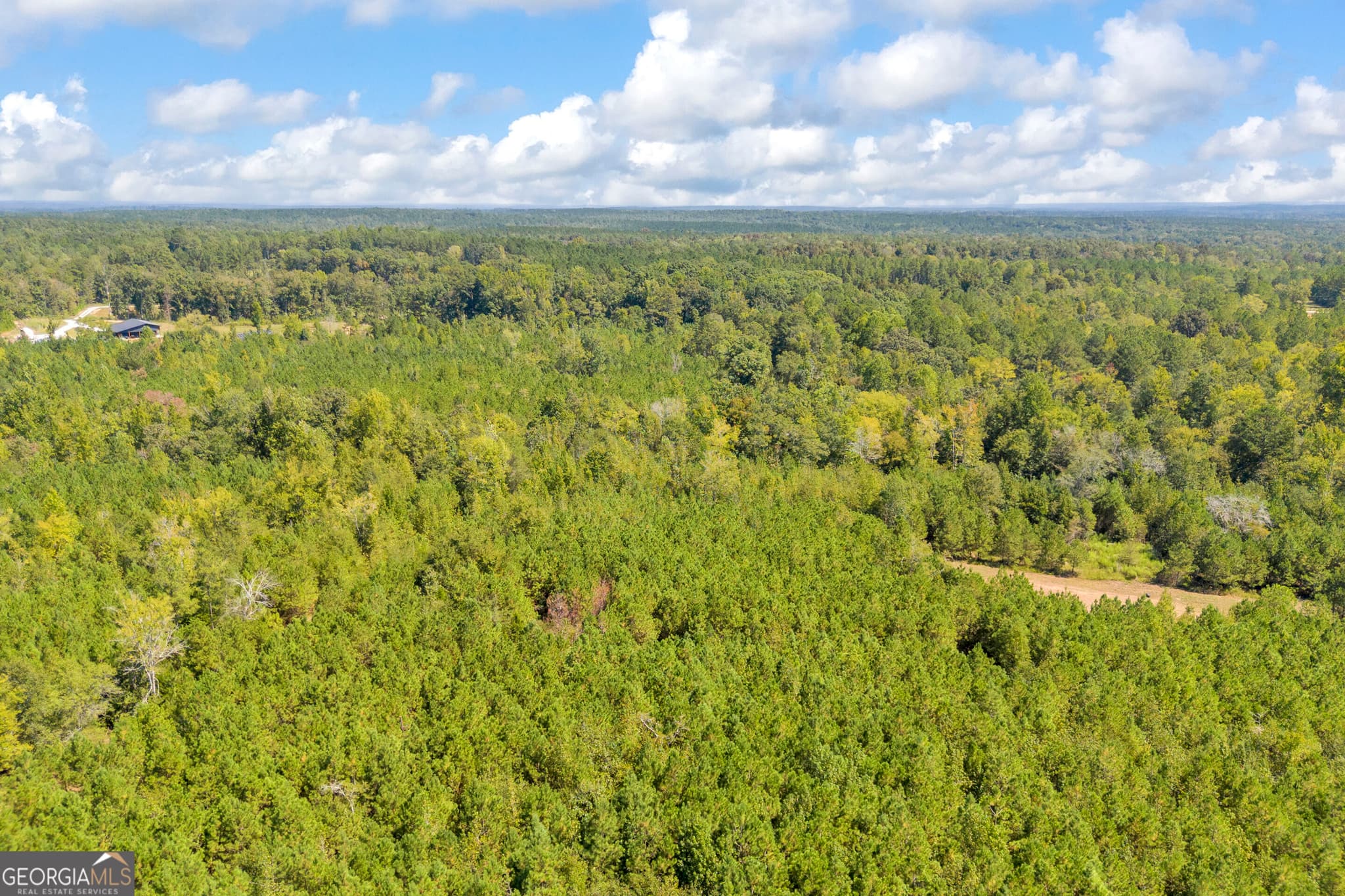 agriculture for sale at 0 McCannon Road, Carlton, GA 30627 — photo 6