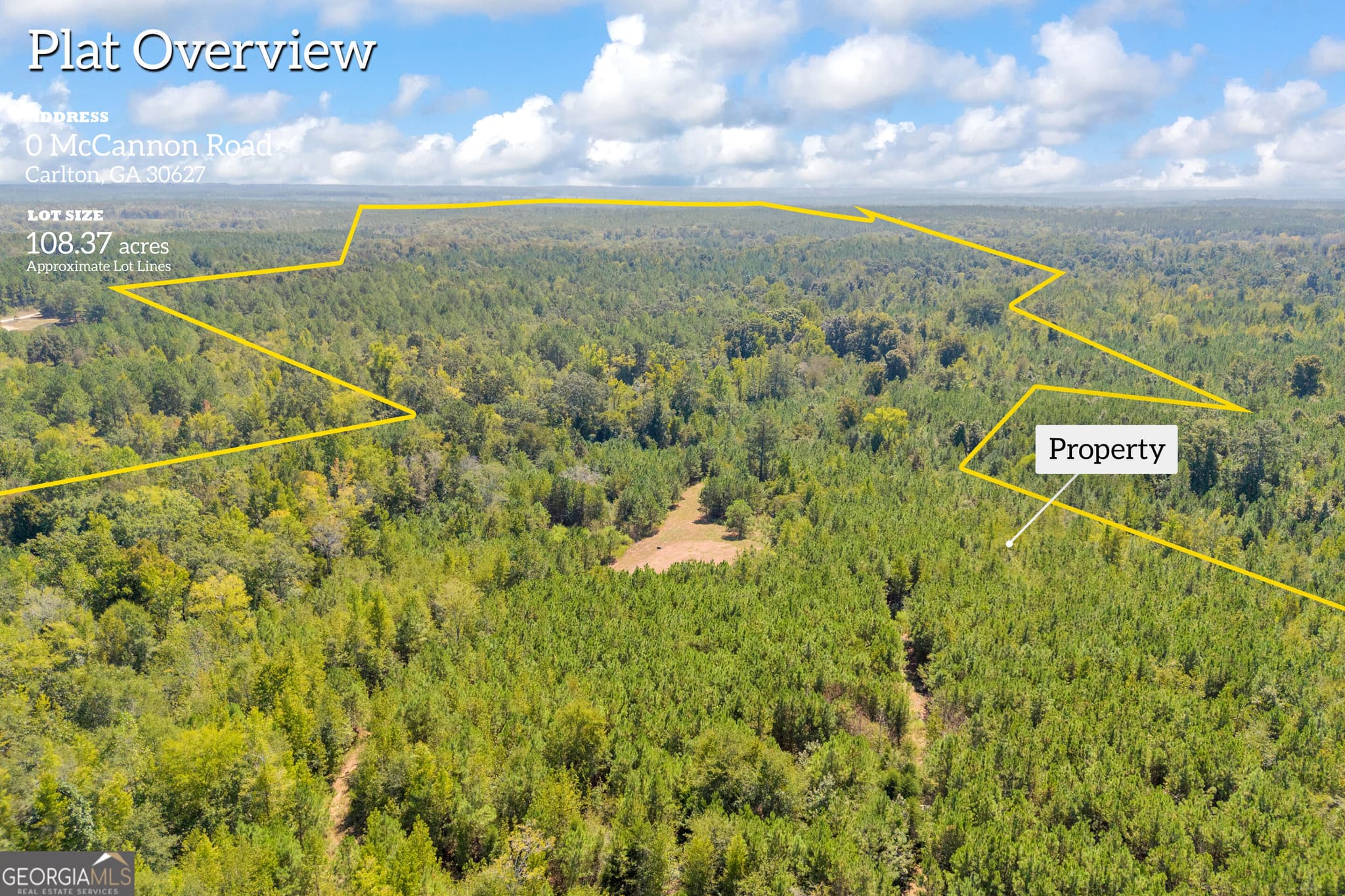 agriculture for sale at 0 McCannon Road, Carlton, GA 30627 — photo 3