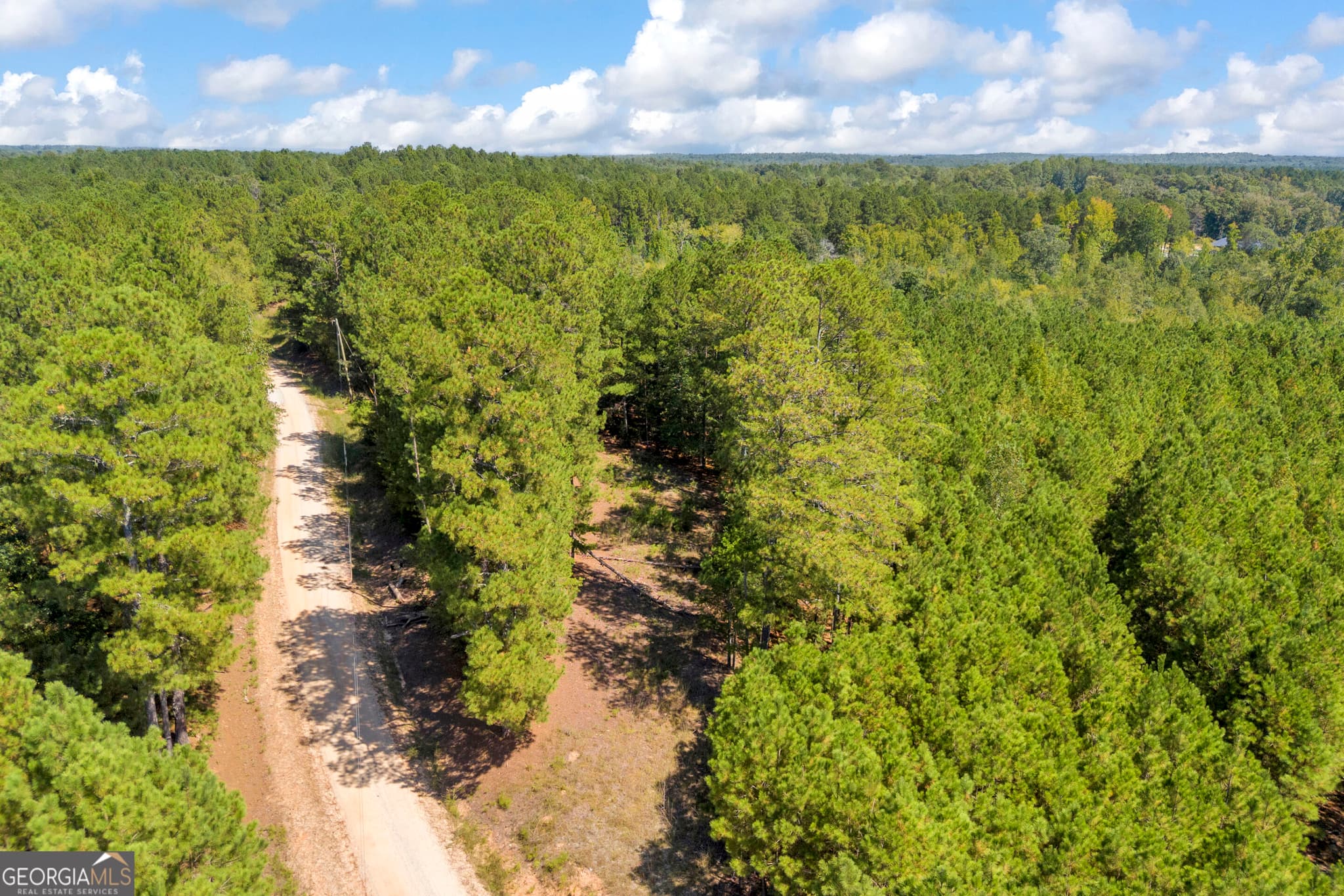 agriculture for sale at 0 McCannon Road, Carlton, GA 30627 — photo 5