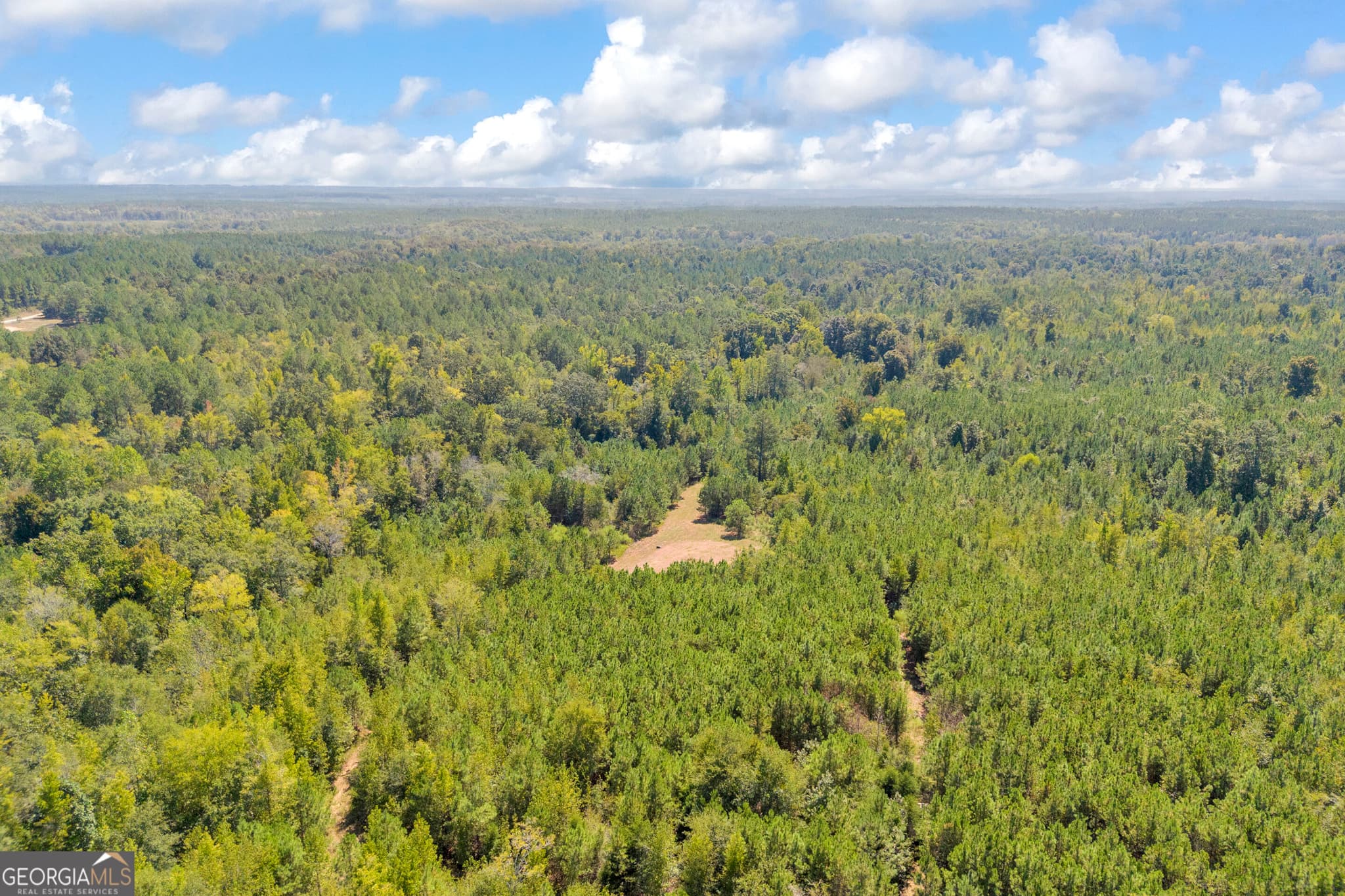 agriculture for sale at 0 McCannon Road, Carlton, GA 30627 — photo 9