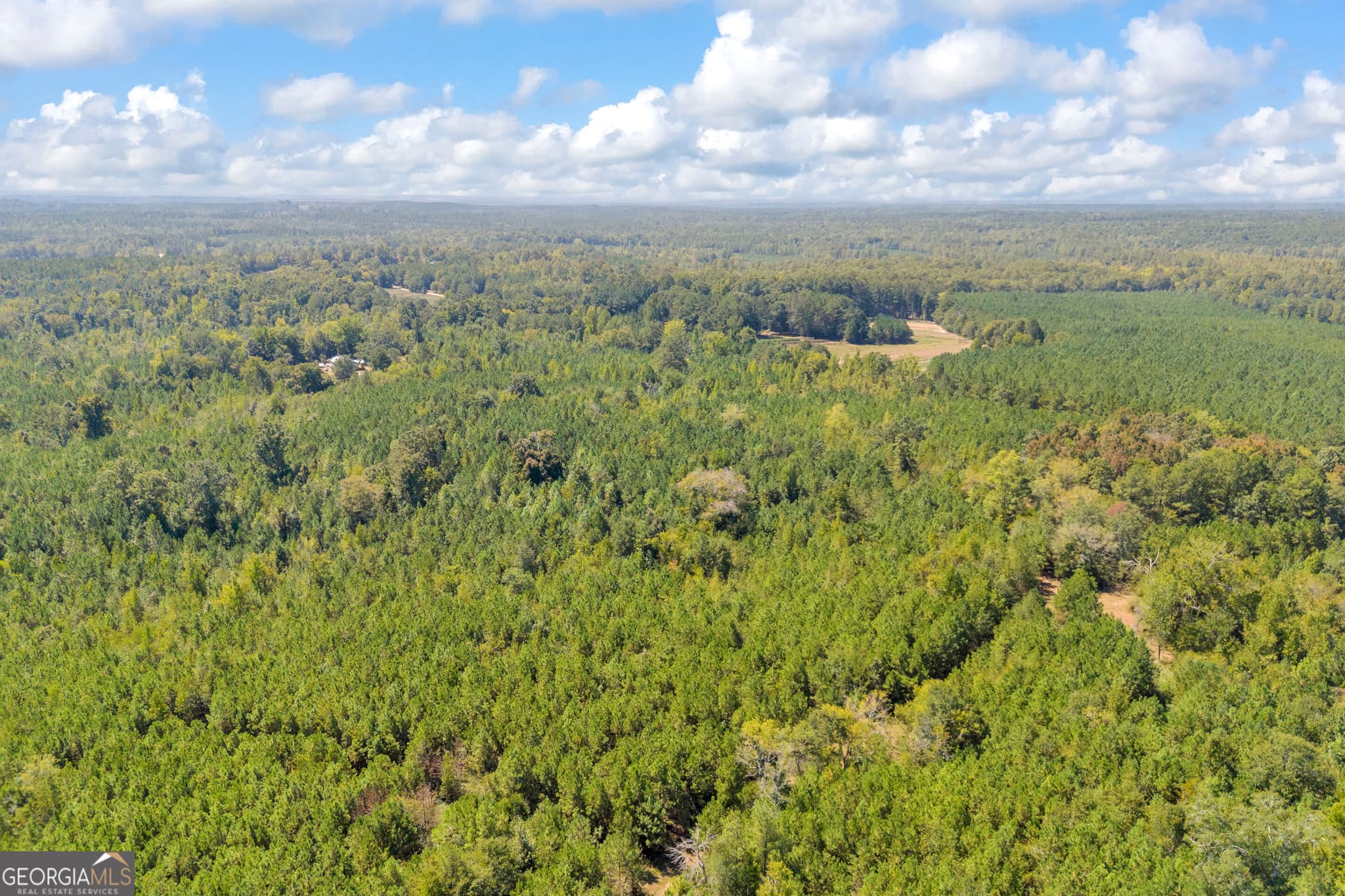 agriculture for sale at 0 McCannon Road, Carlton, GA 30627 — photo 10