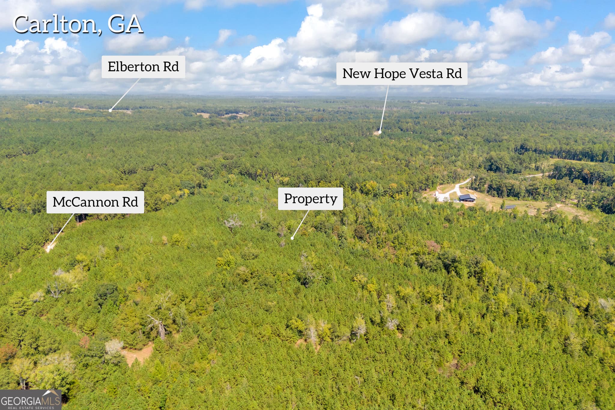 agriculture for sale at 0 McCannon Road, Carlton, GA 30627 — photo 4