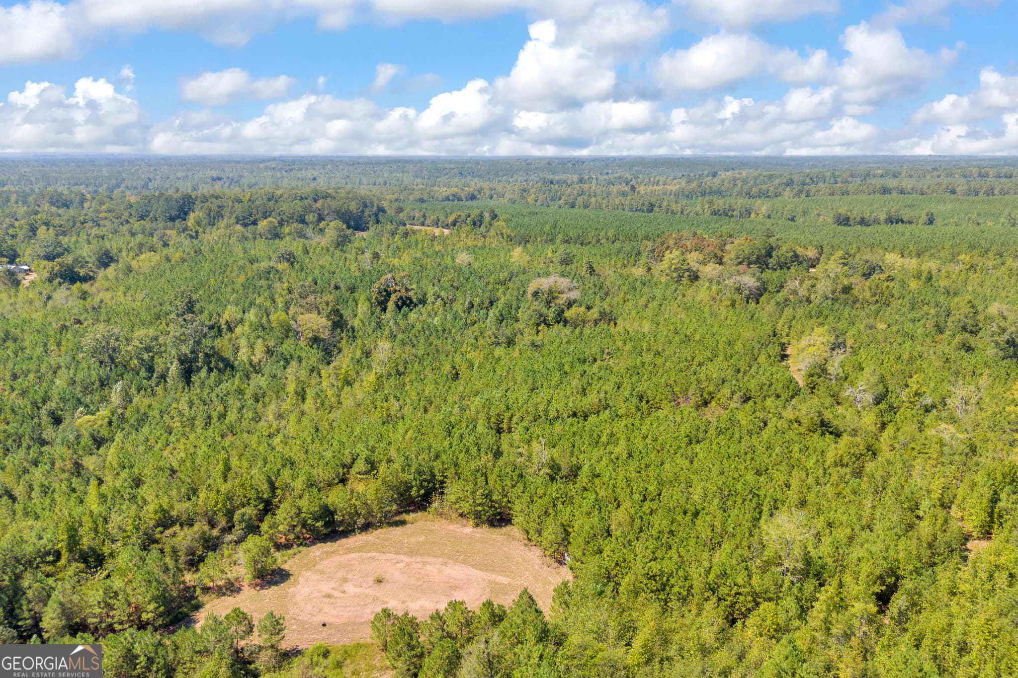 agriculture for sale at 0 McCannon Road, Carlton, GA 30627 — photo 8
