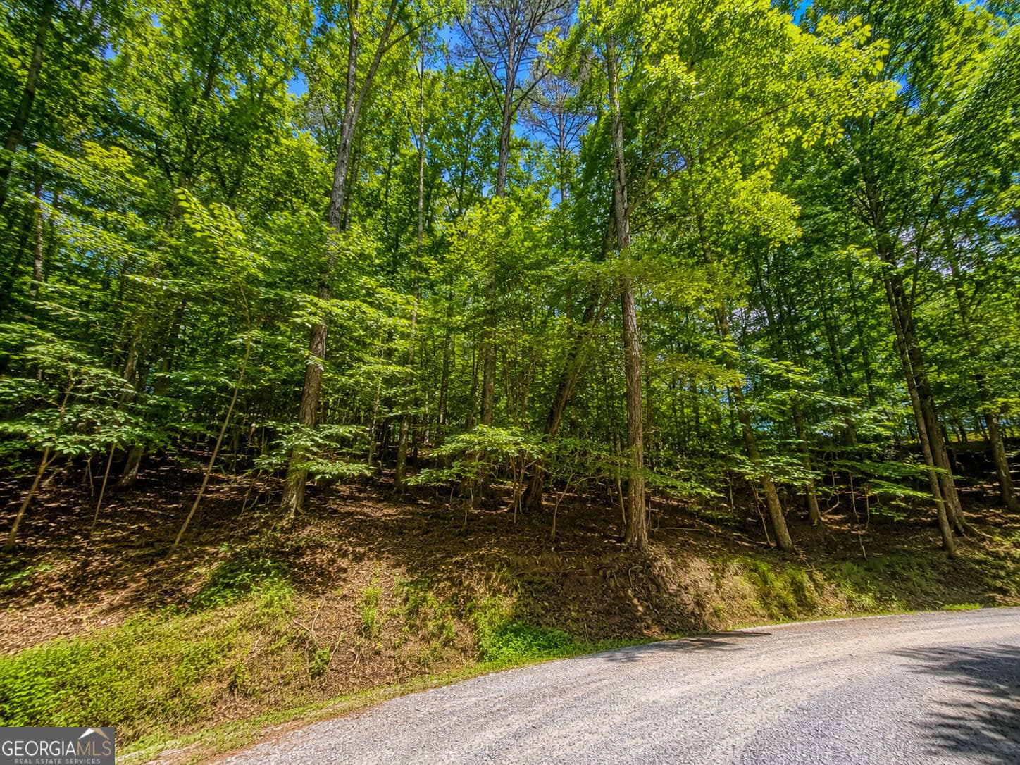 residential lot for sale at LOT730 Dawn Lane, Ellijay, GA 30540 — photo 9