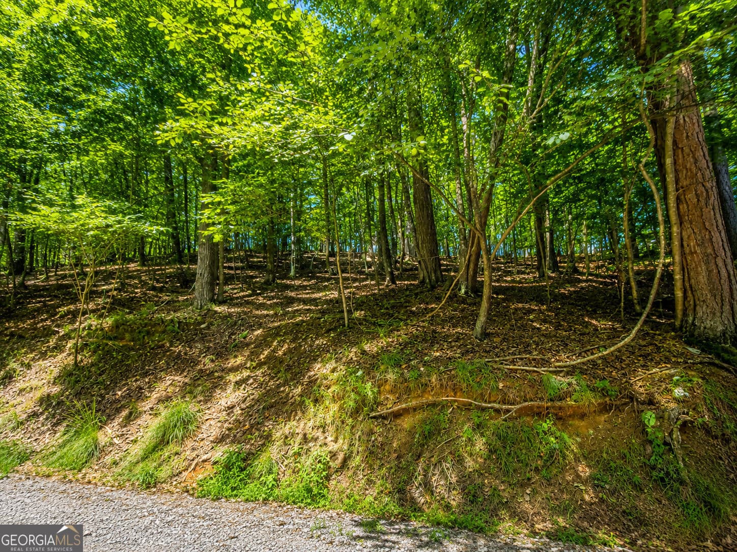 residential lot for sale at LOT730 Dawn Lane, Ellijay, GA 30540 — photo 10