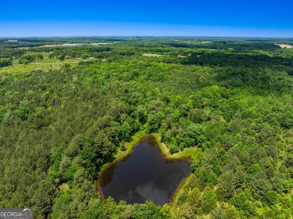 agriculture for sale at 3931 Bowersville Highway, Bowersville, GA 30516 — photo 6