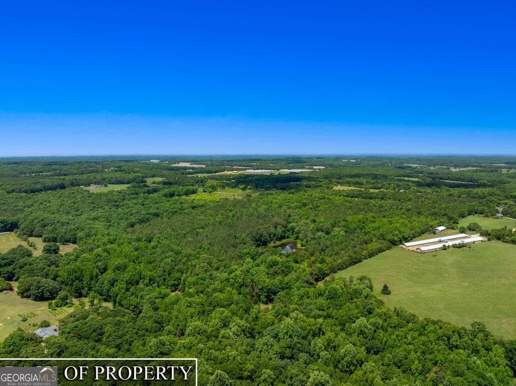 agriculture for sale at 3931 Bowersville Highway, Bowersville, GA 30516 — photo 9