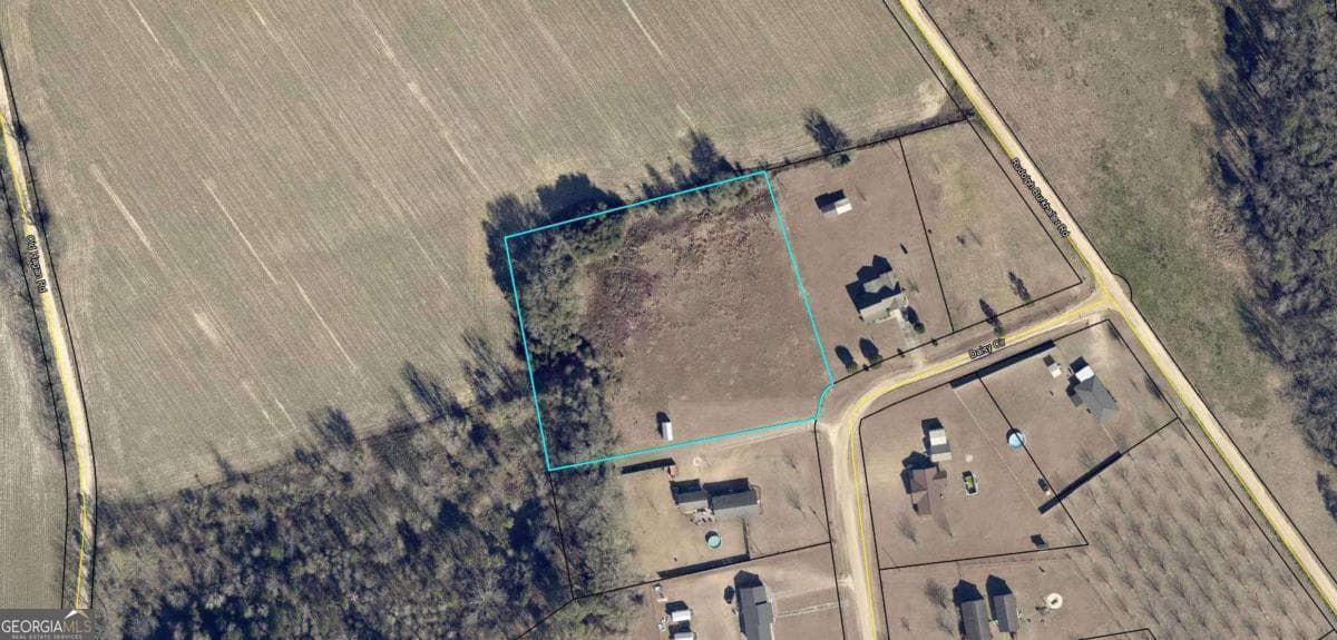unimproved land for sale at 287 Daisy Circle, Glennville, GA 30427