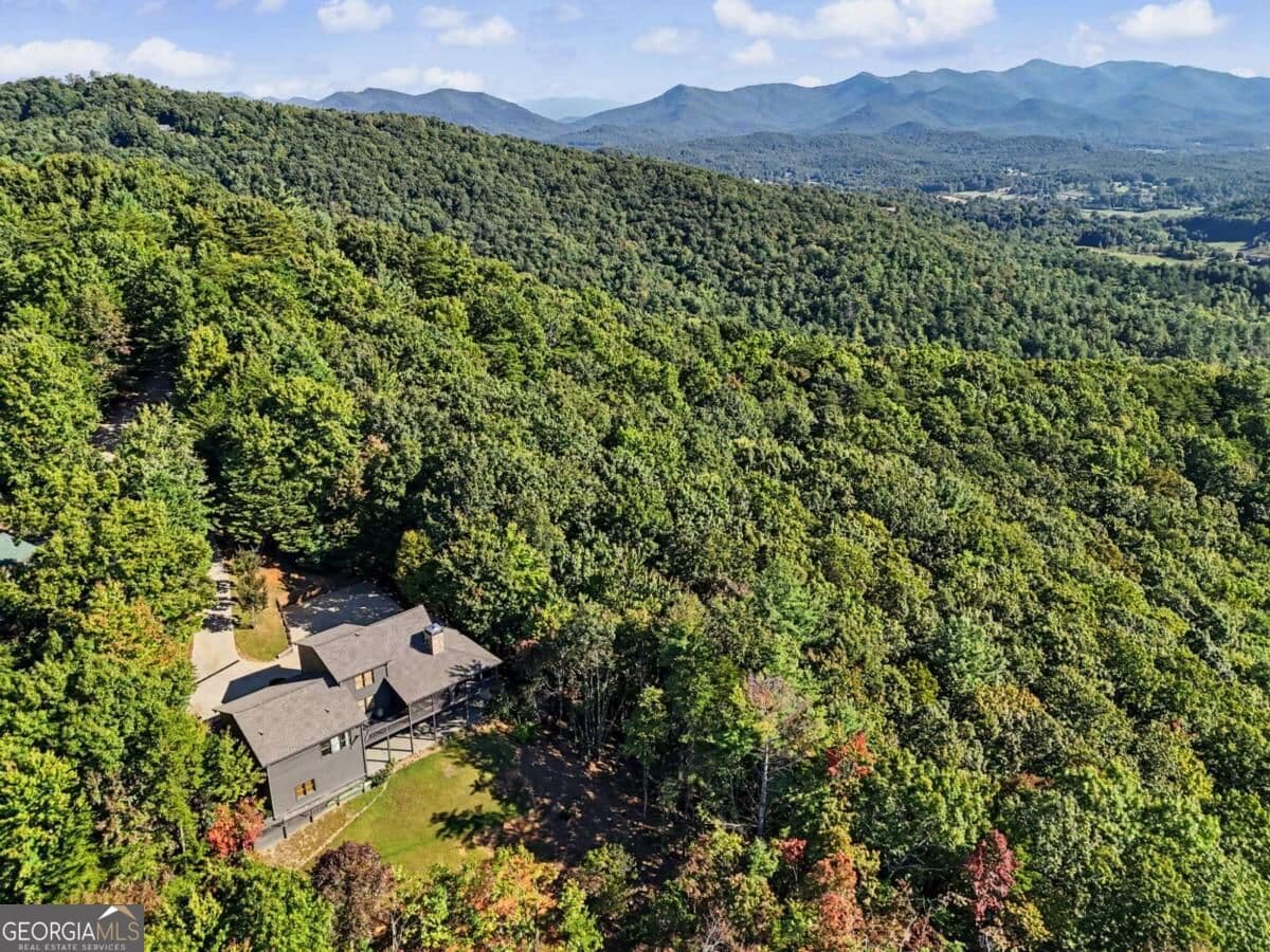 4 bedroom, 5 bathroom, 4,368 sq ft cabin,single family residence for sale at 237 Flat Rock Ridge Road, Blairsville, GA 30512 — photo 2