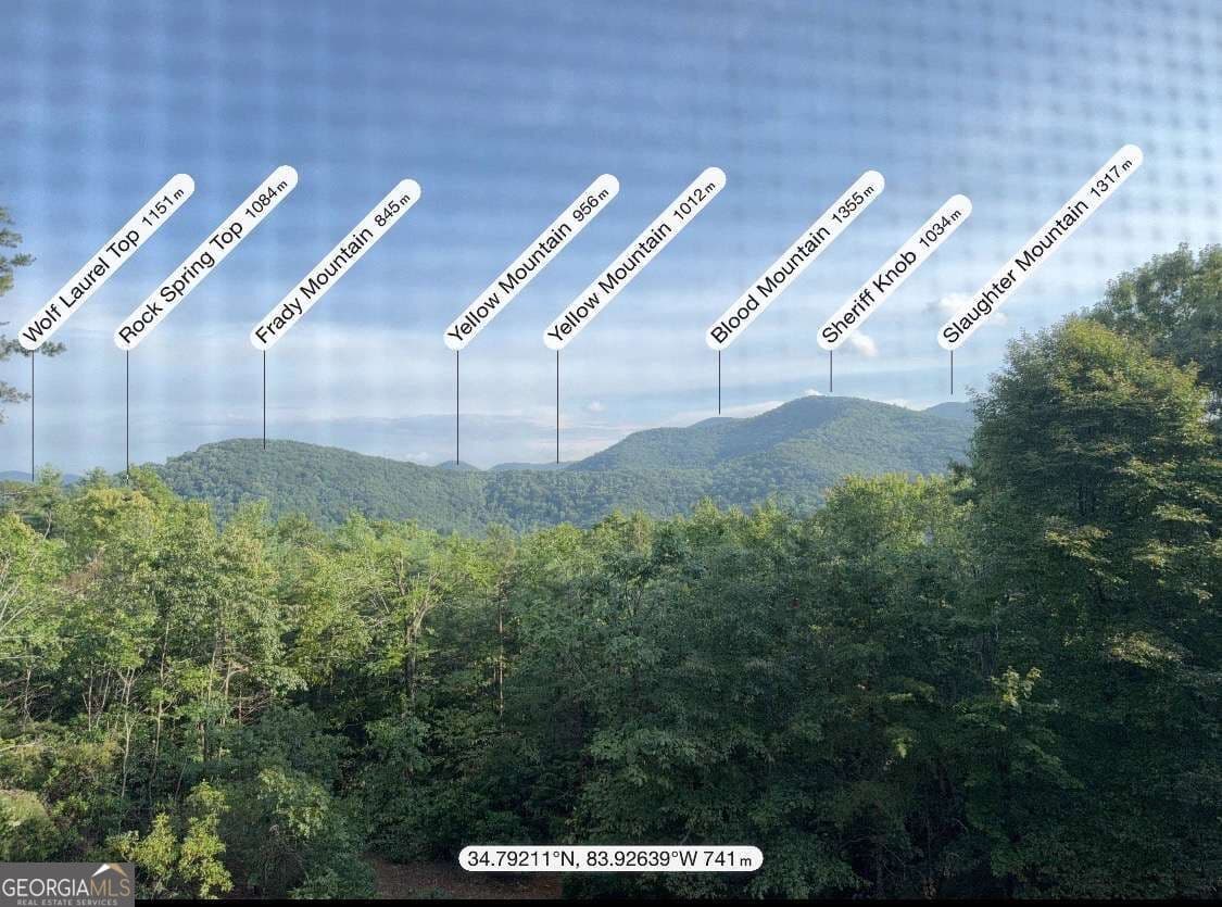 4 bedroom, 5 bathroom, 4,368 sq ft cabin,single family residence for sale at 237 Flat Rock Ridge Road, Blairsville, GA 30512 — photo 4