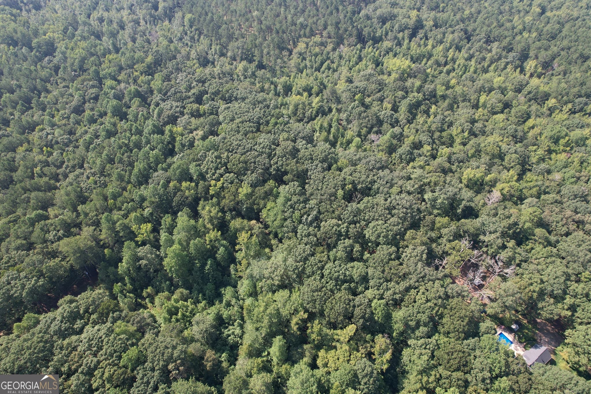 unimproved land for sale at 1321 Cemetery Road, Bishop, GA 30621 — photo 6