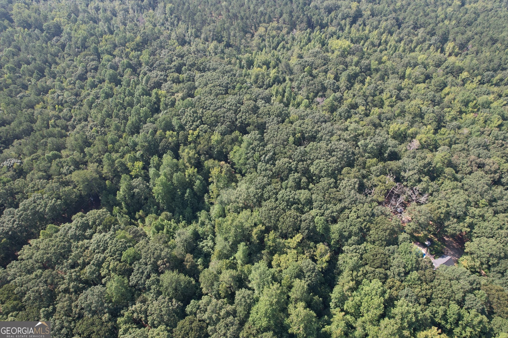 unimproved land for sale at 1321 Cemetery Road, Bishop, GA 30621 — photo 7