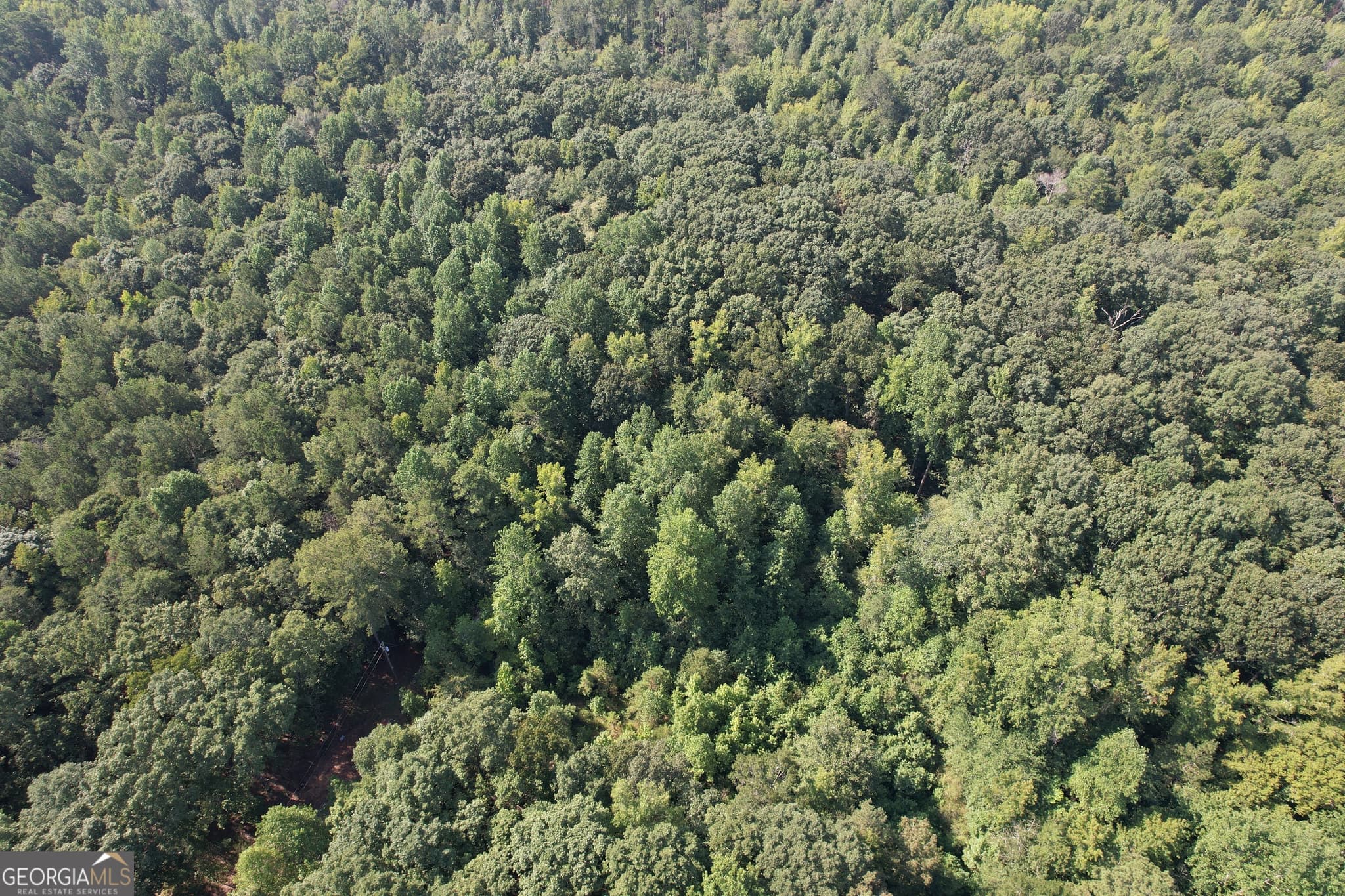 unimproved land for sale at 1321 Cemetery Road, Bishop, GA 30621 — photo 5