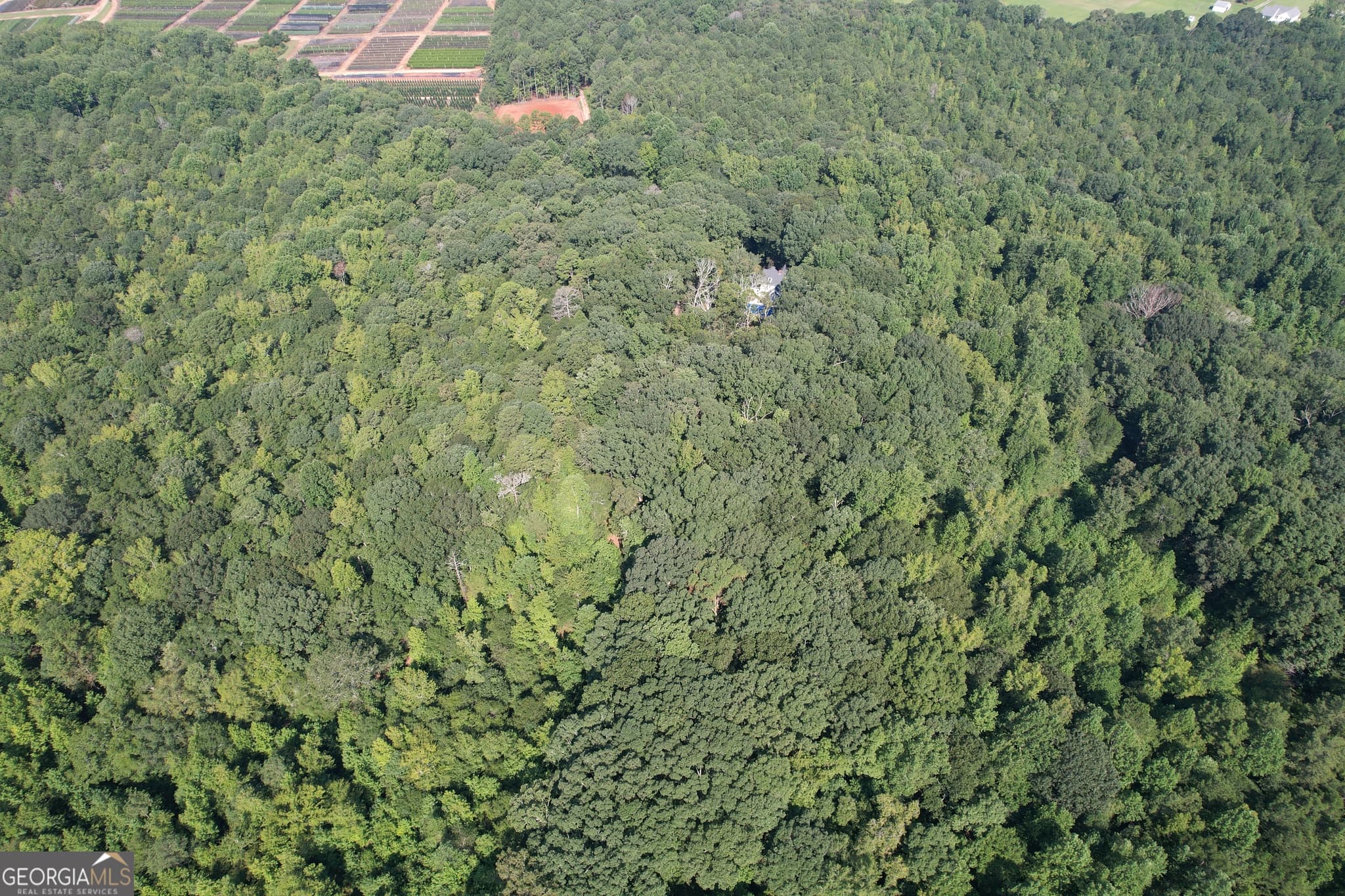 unimproved land for sale at 1321 Cemetery Road, Bishop, GA 30621 — photo 10
