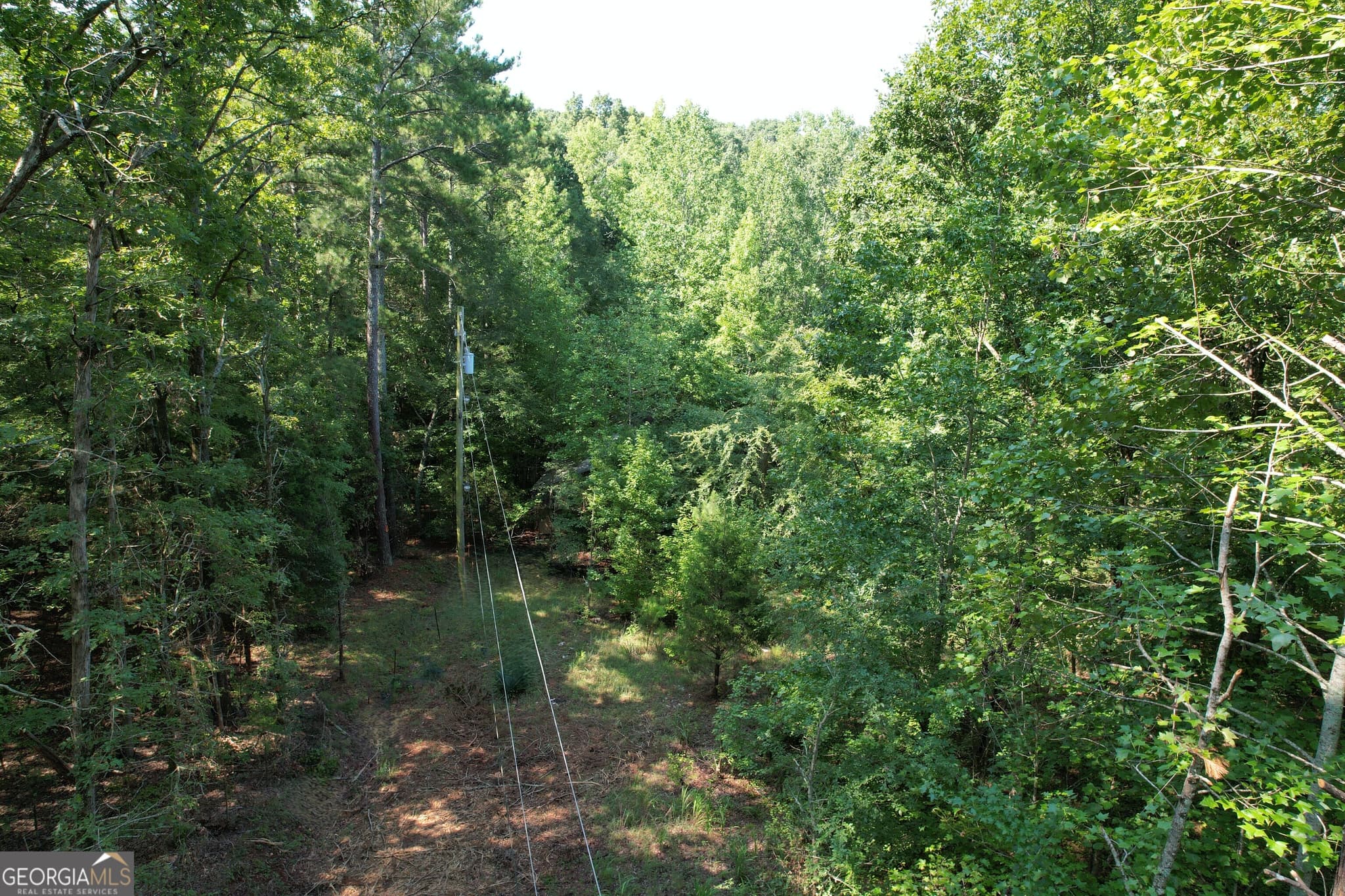 unimproved land for sale at 1321 Cemetery Road, Bishop, GA 30621 — photo 4