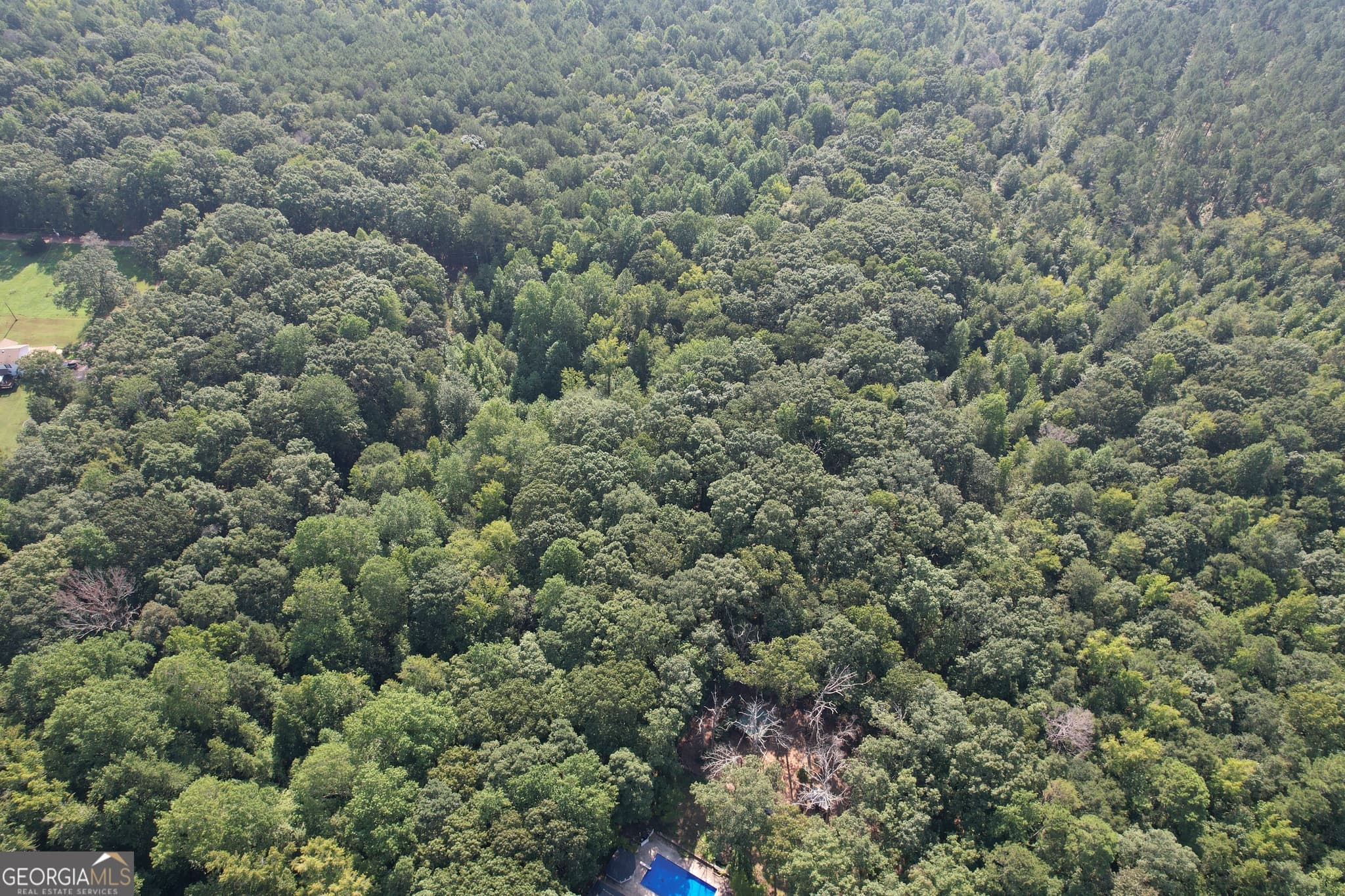 unimproved land for sale at 1321 Cemetery Road, Bishop, GA 30621 — photo 8