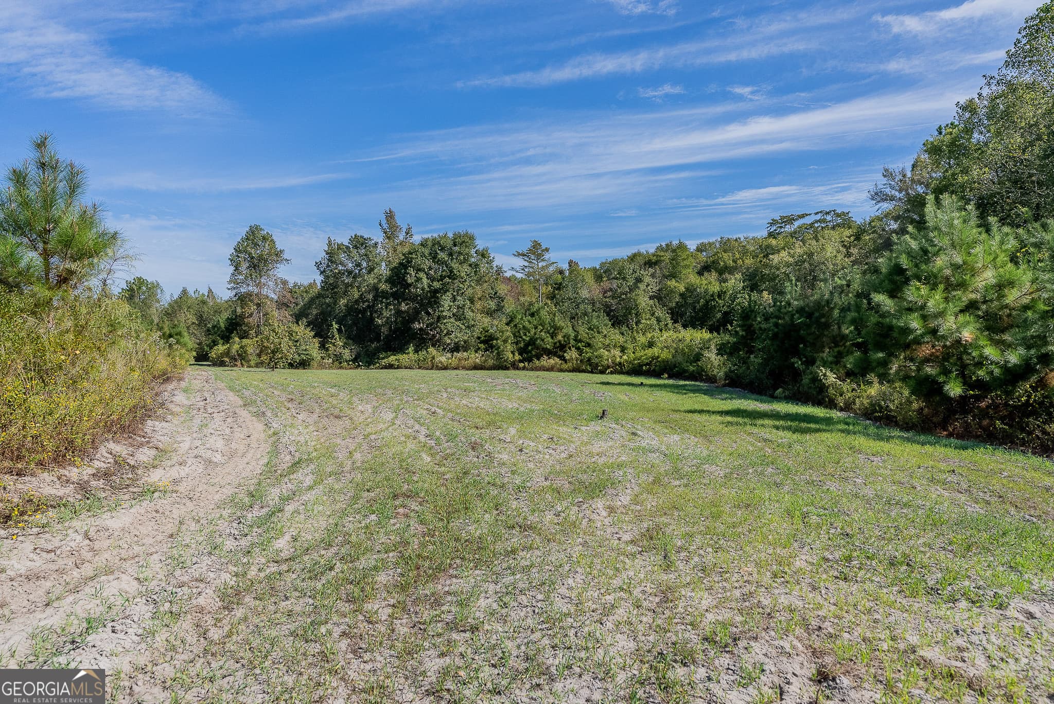 agriculture for sale at TRACT 7 Kinnett Road, Jacksonville, GA 31544 — photo 6