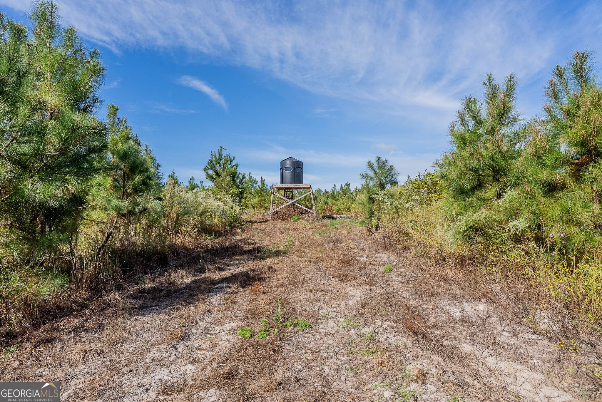 agriculture for sale at TRACT 7 Kinnett Road, Jacksonville, GA 31544 — photo 7