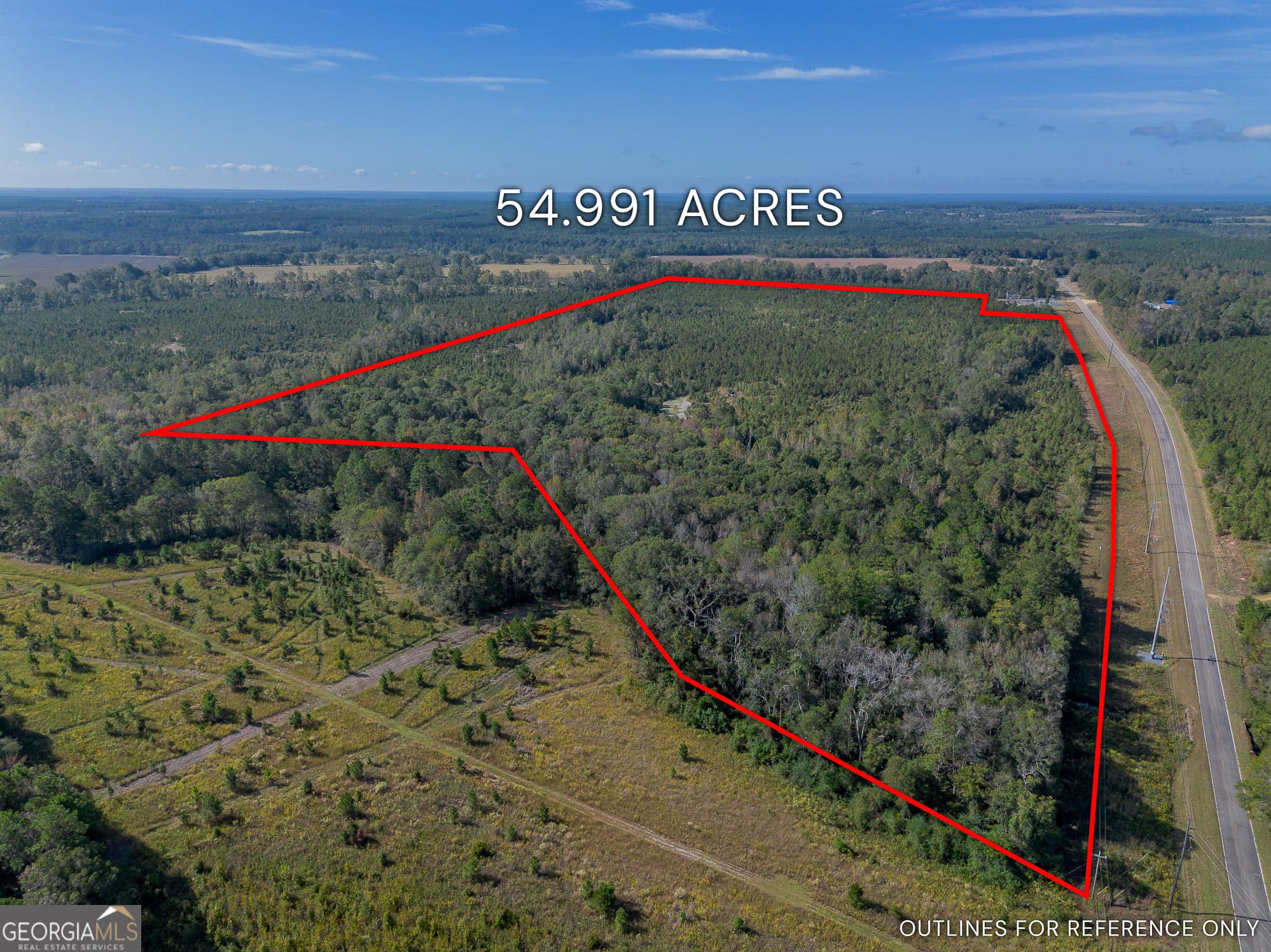 agriculture for sale at TRACT 7 Kinnett Road, Jacksonville, GA 31544