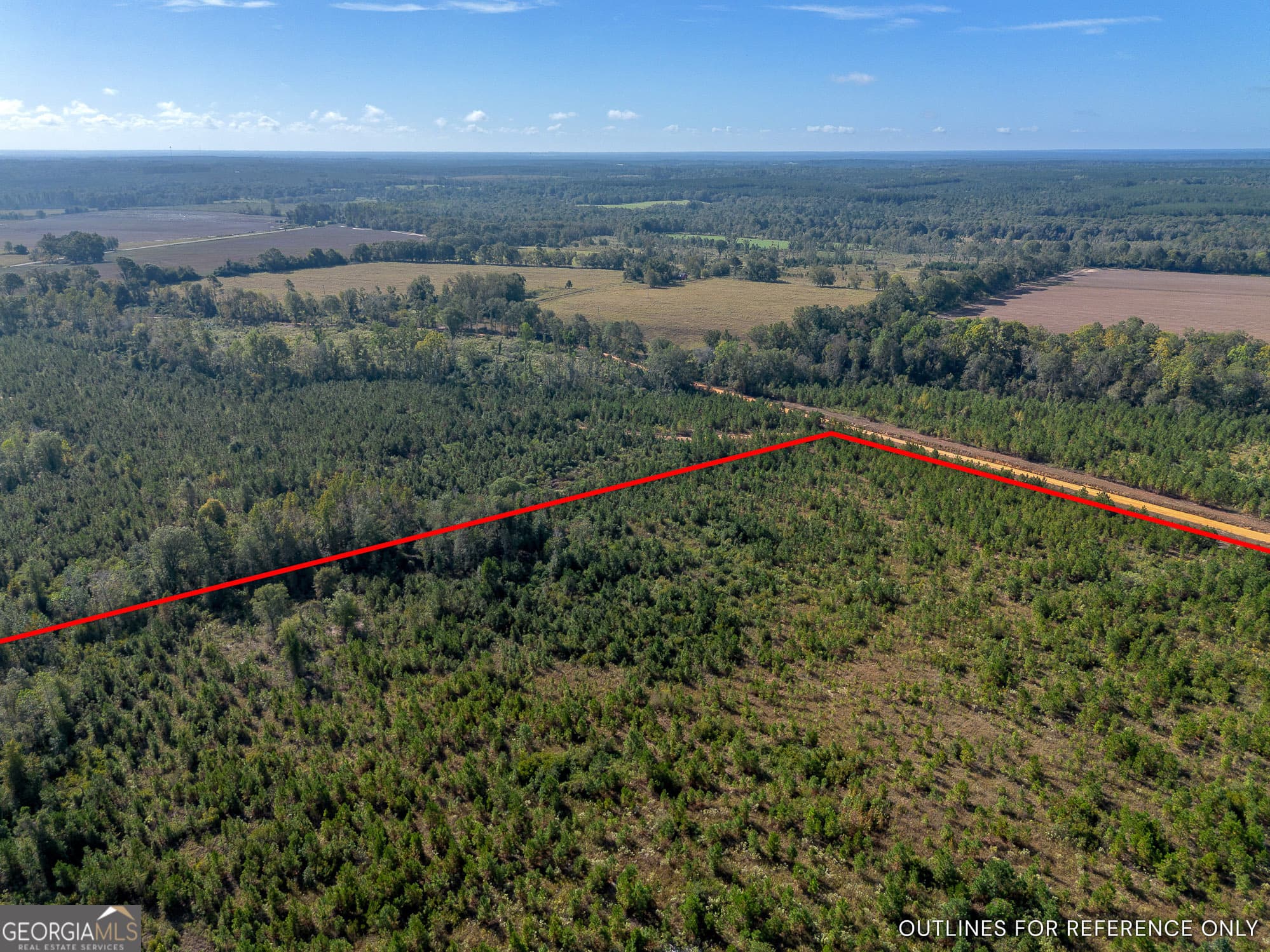 agriculture for sale at TRACT 7 Kinnett Road, Jacksonville, GA 31544 — photo 5