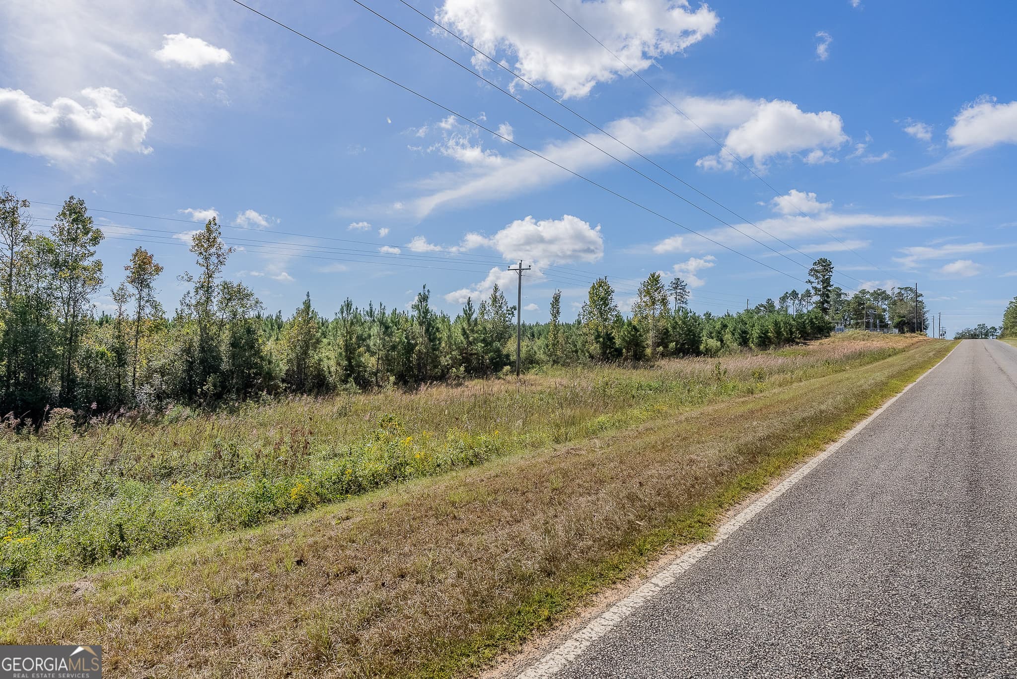 agriculture for sale at TRACT 7 Kinnett Road, Jacksonville, GA 31544 — photo 10