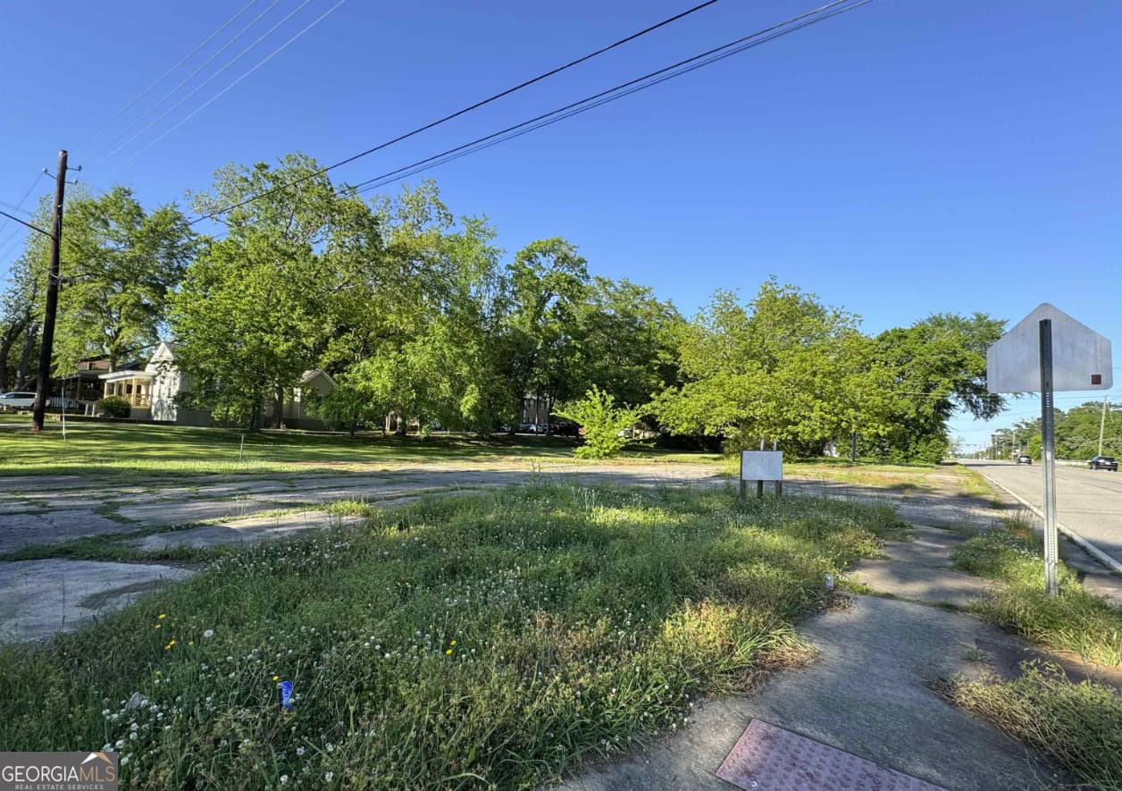 residential lot for sale at 751 W Montgomery Street, Milledgeville, GA 31061 — photo 3