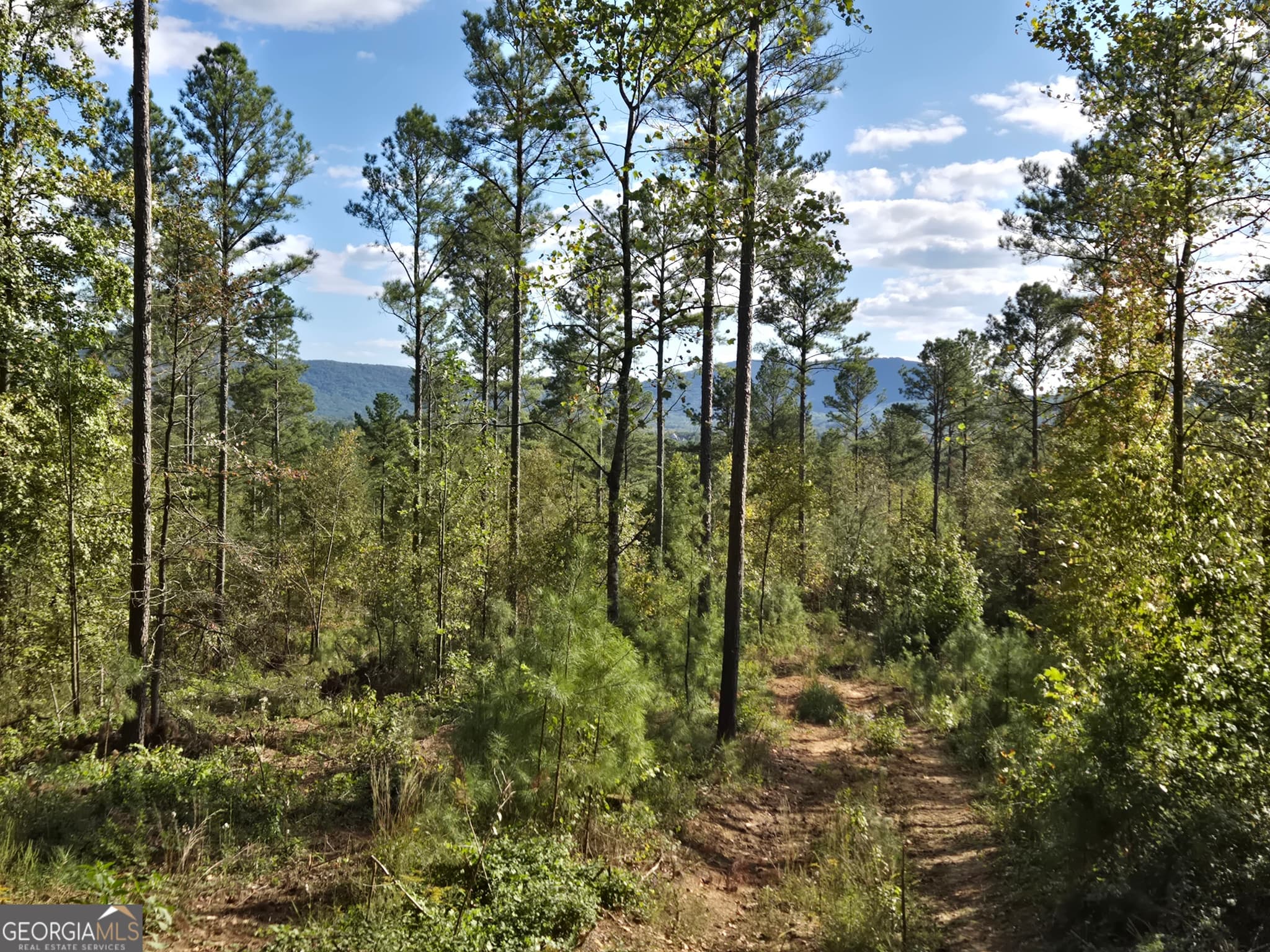 estate lot for sale at 3871 HWY 140, Rydal, GA 30171 — photo 2