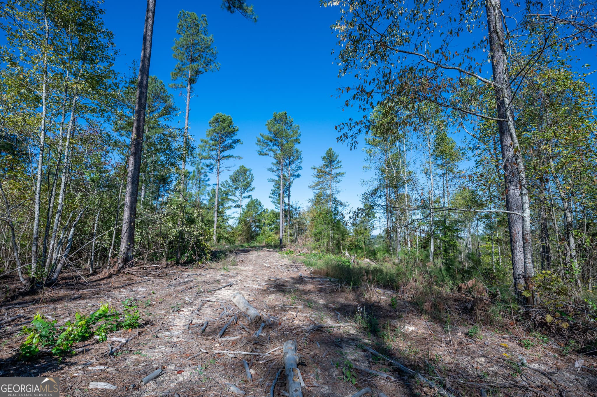 estate lot for sale at 3871 HWY 140, Rydal, GA 30171 — photo 6