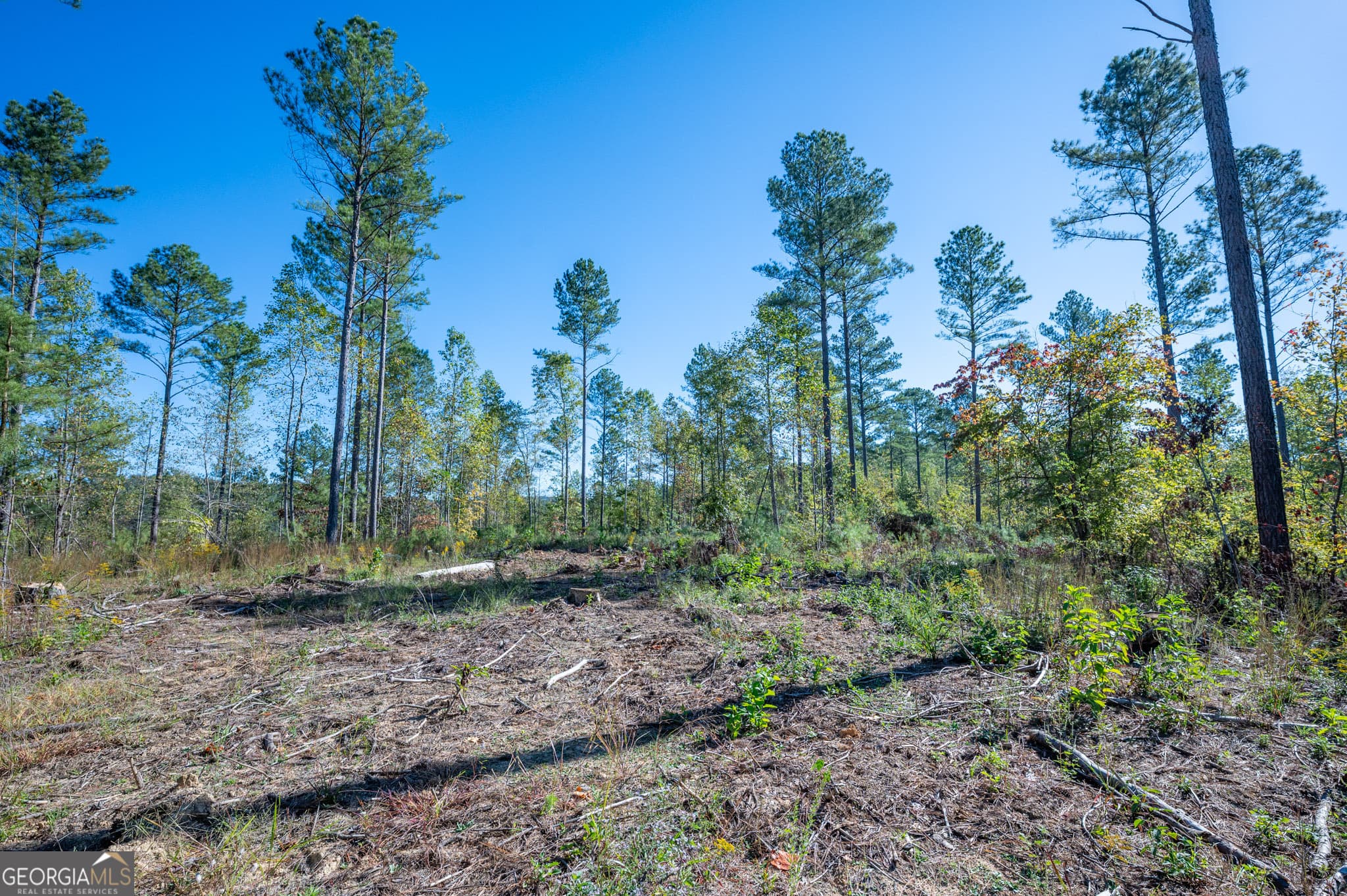 estate lot for sale at 3871 HWY 140, Rydal, GA 30171 — photo 7