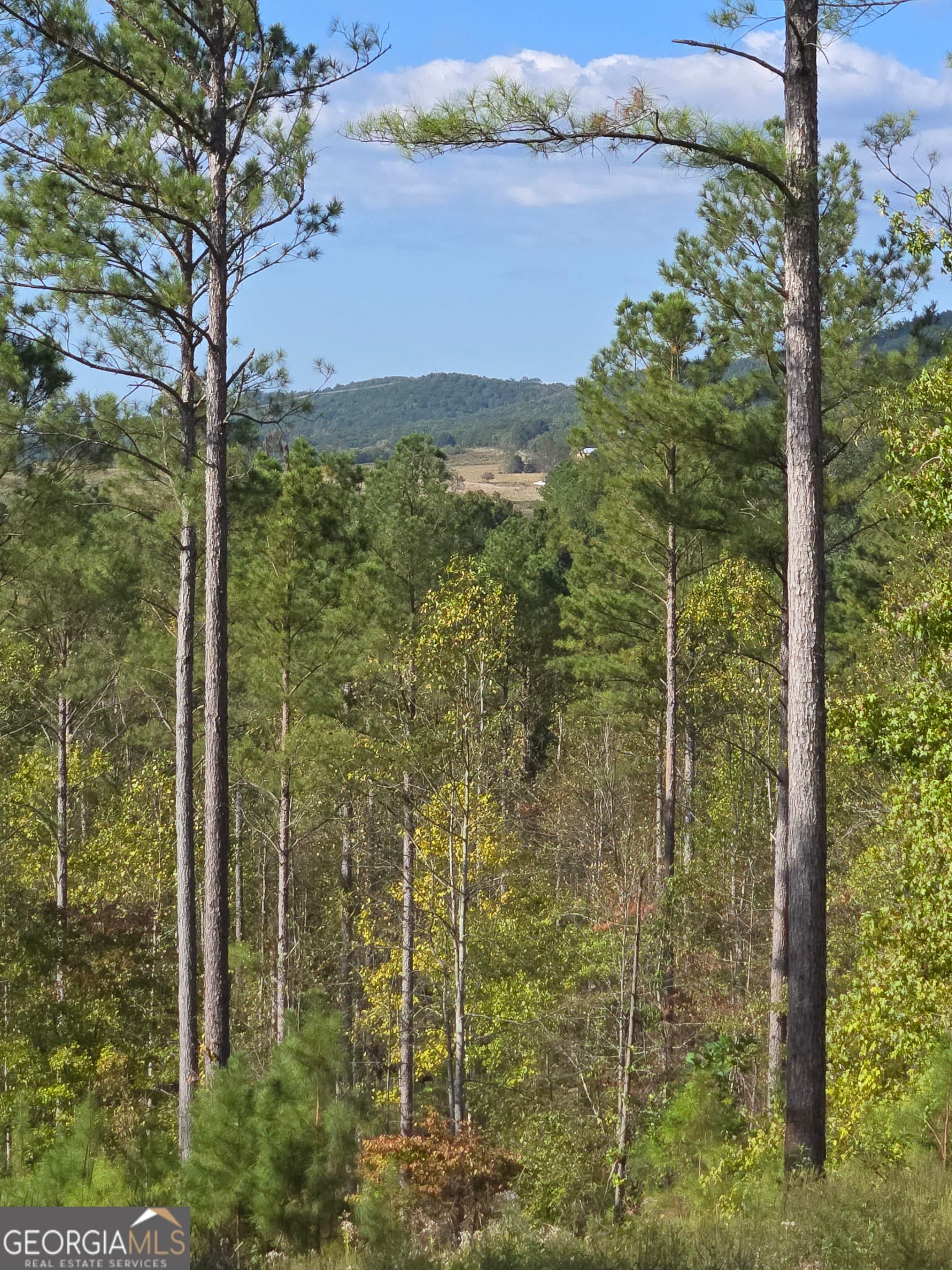 estate lot for sale at 3871 HWY 140, Rydal, GA 30171 — photo 3