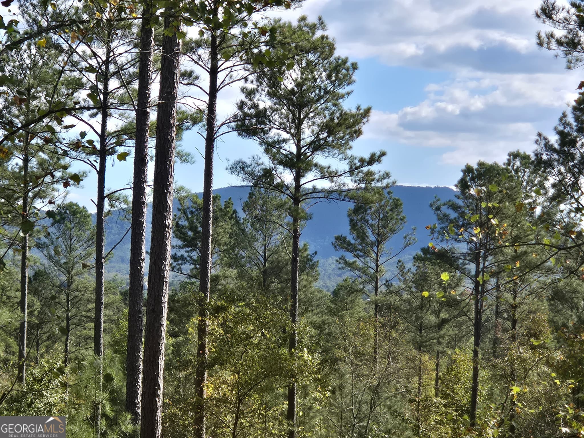 estate lot for sale at 3871 HWY 140, Rydal, GA 30171 — photo 1 of 12