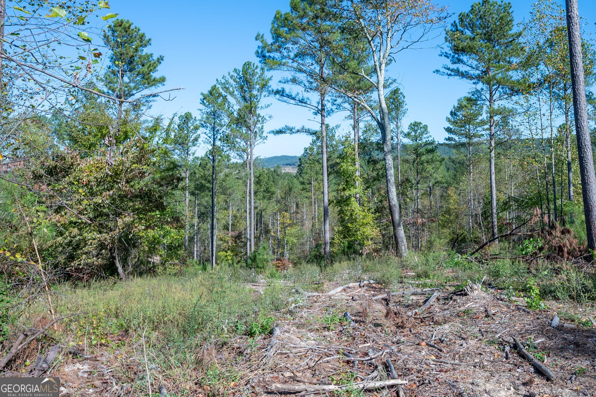 estate lot for sale at 3871 HWY 140, Rydal, GA 30171 — photo 5