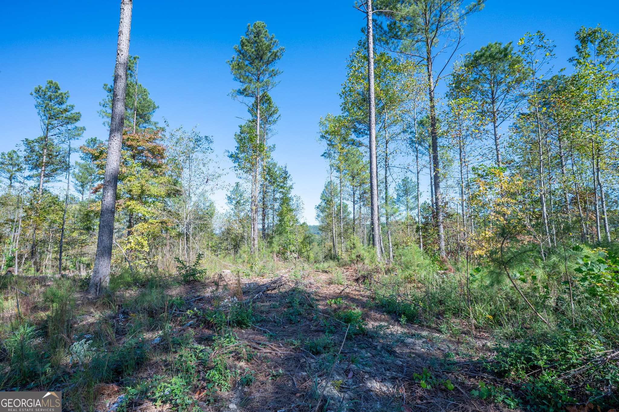 estate lot for sale at 3871 HWY 140, Rydal, GA 30171 — photo 9
