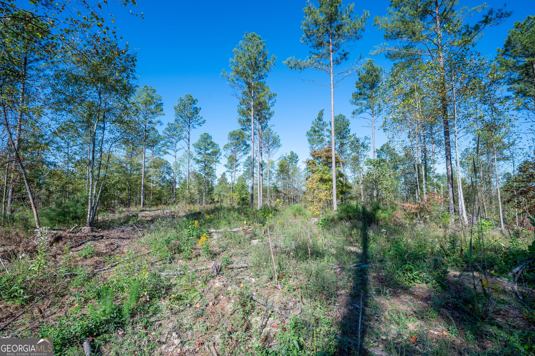 estate lot for sale at 3871 HWY 140, Rydal, GA 30171 — photo 10