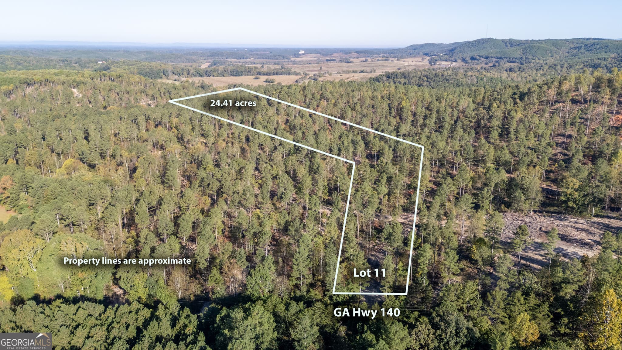 estate lot for sale at 3871 HWY 140, Rydal, GA 30171 — photo 4