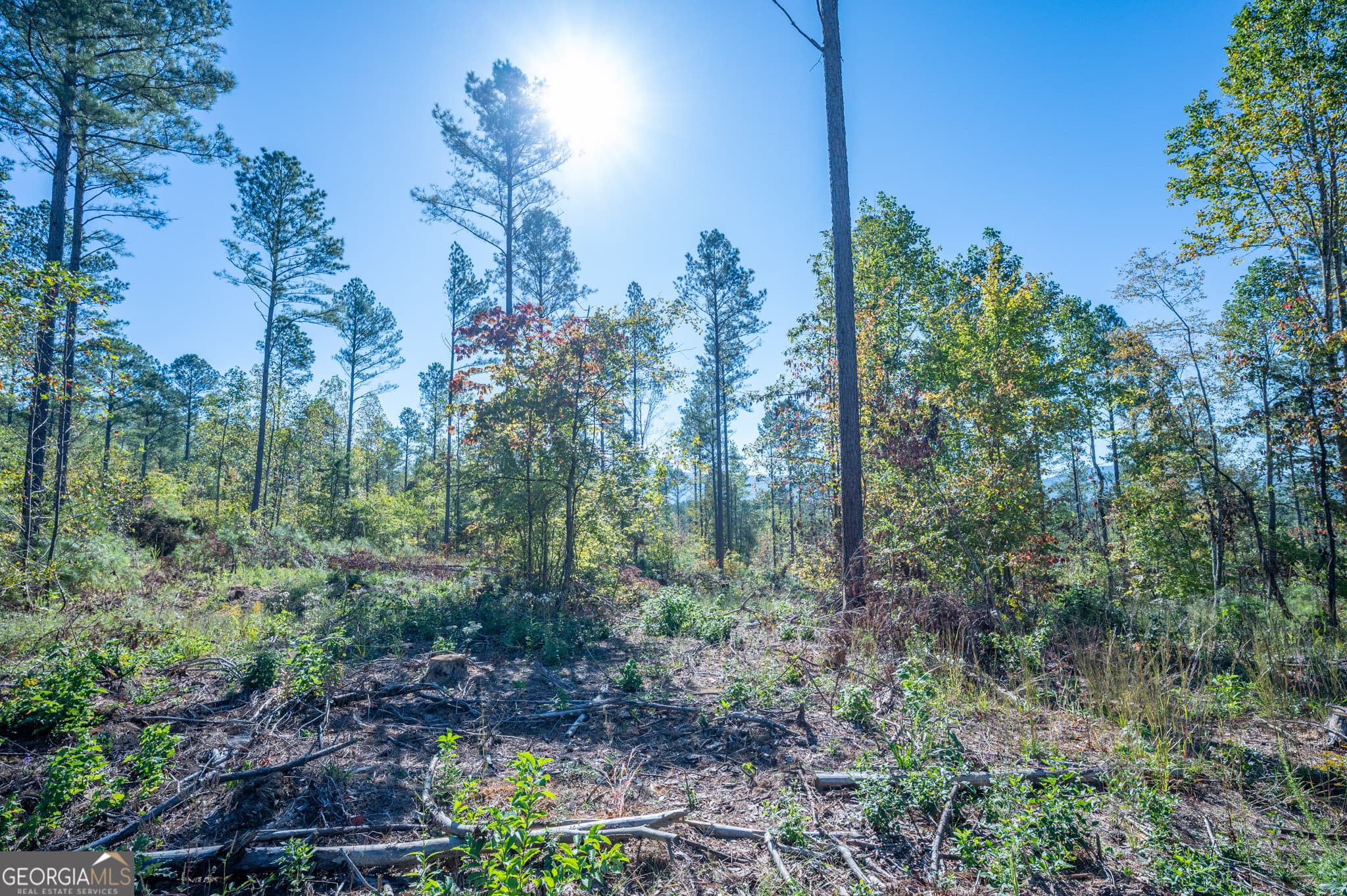 estate lot for sale at 3871 HWY 140, Rydal, GA 30171 — photo 8