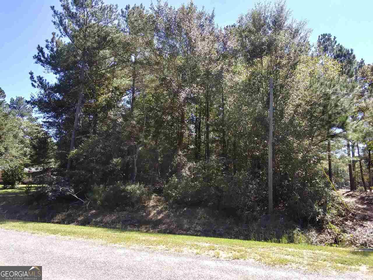 residential lot for sale at 0 Glover Road, Harrison, GA 31035 — photo 3