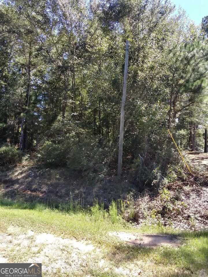 residential lot for sale at 0 Glover Road, Harrison, GA 31035 — photo 1 of 3