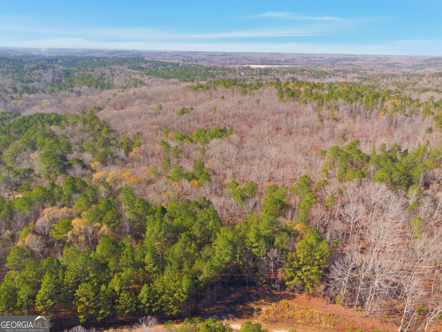 unimproved land for sale at 0 Creel Road 2, Fairburn, GA 30213 — photo 4