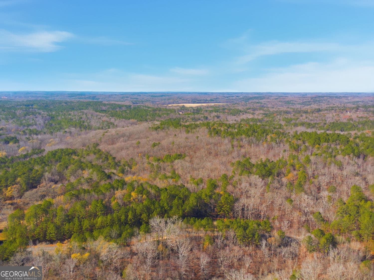 unimproved land for sale at 0 Creel Road 2, Fairburn, GA 30213 — photo 8