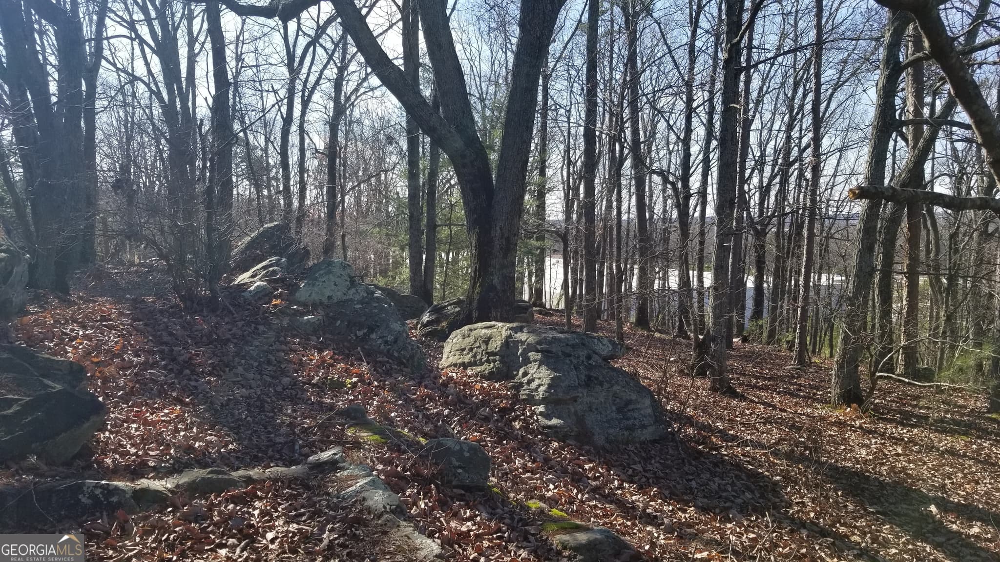 unimproved land for sale at 1785 Plunketts Road, Buford, GA 30518 — photo 5