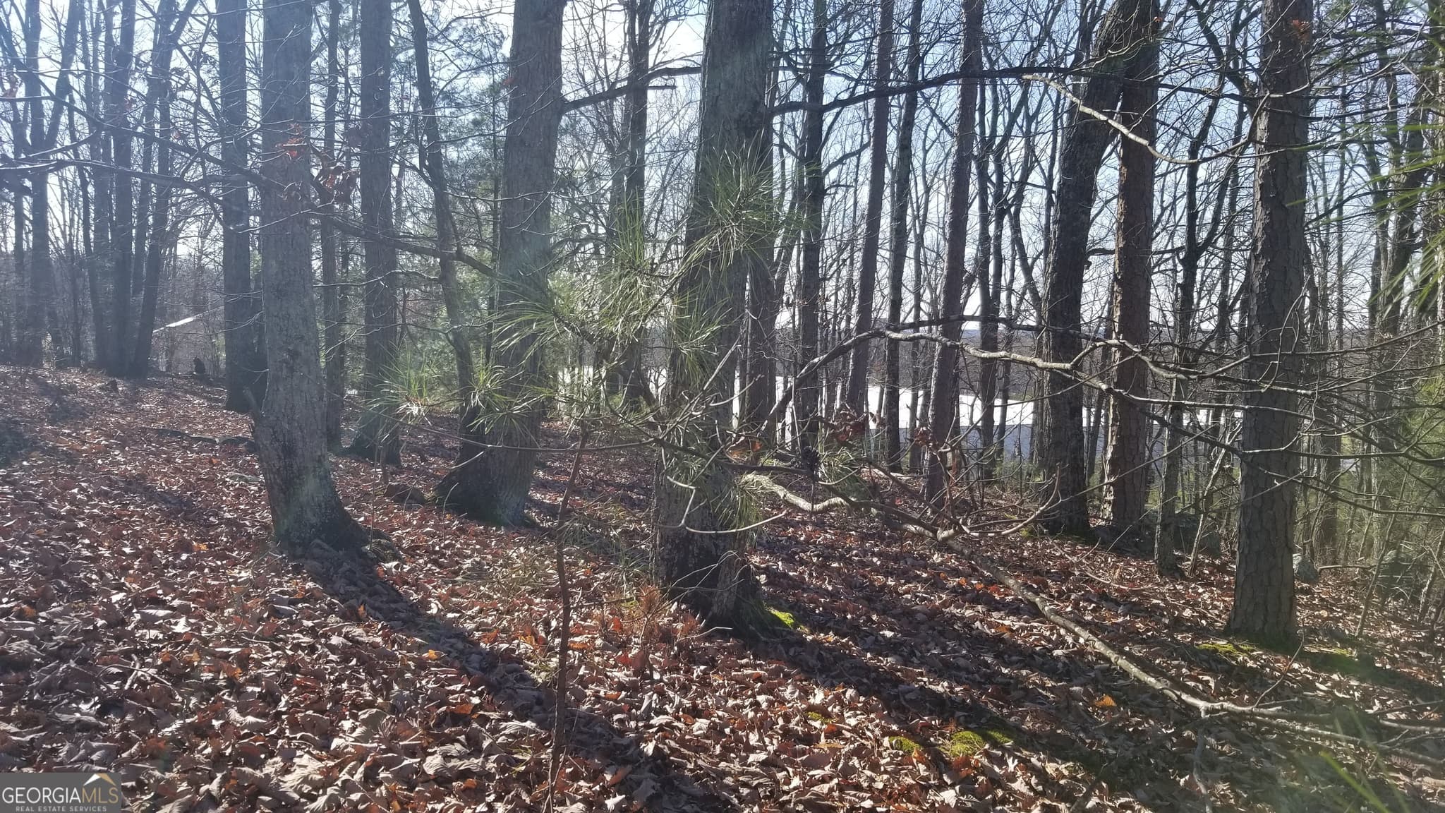 unimproved land for sale at 1785 Plunketts Road, Buford, GA 30518 — photo 8
