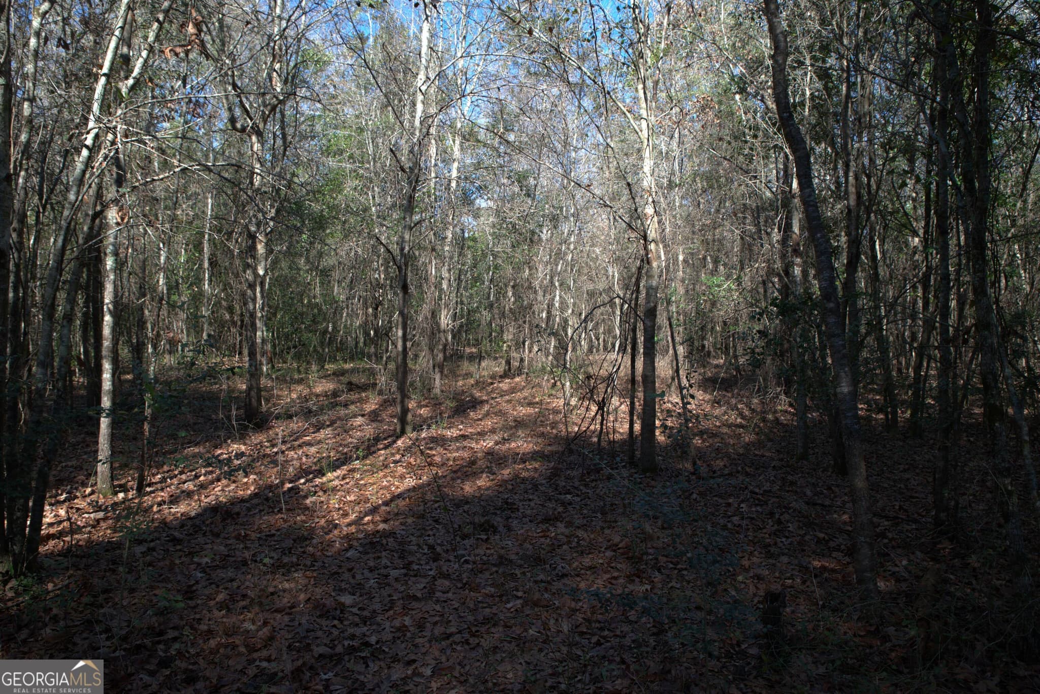 unimproved land for sale at 920 Cordele Road, Albany, GA 31705 — photo 6