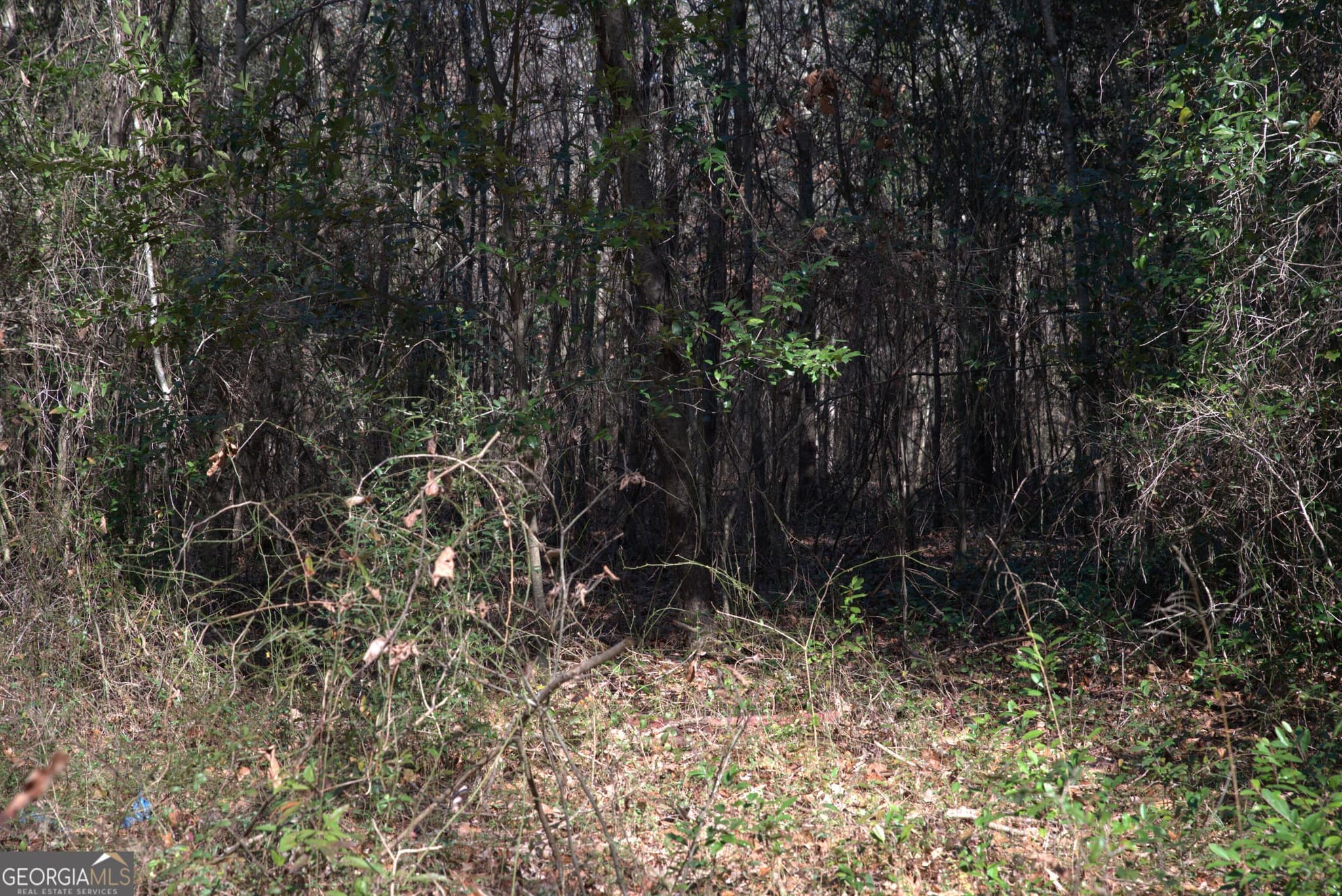 unimproved land for sale at 920 Cordele Road, Albany, GA 31705 — photo 7