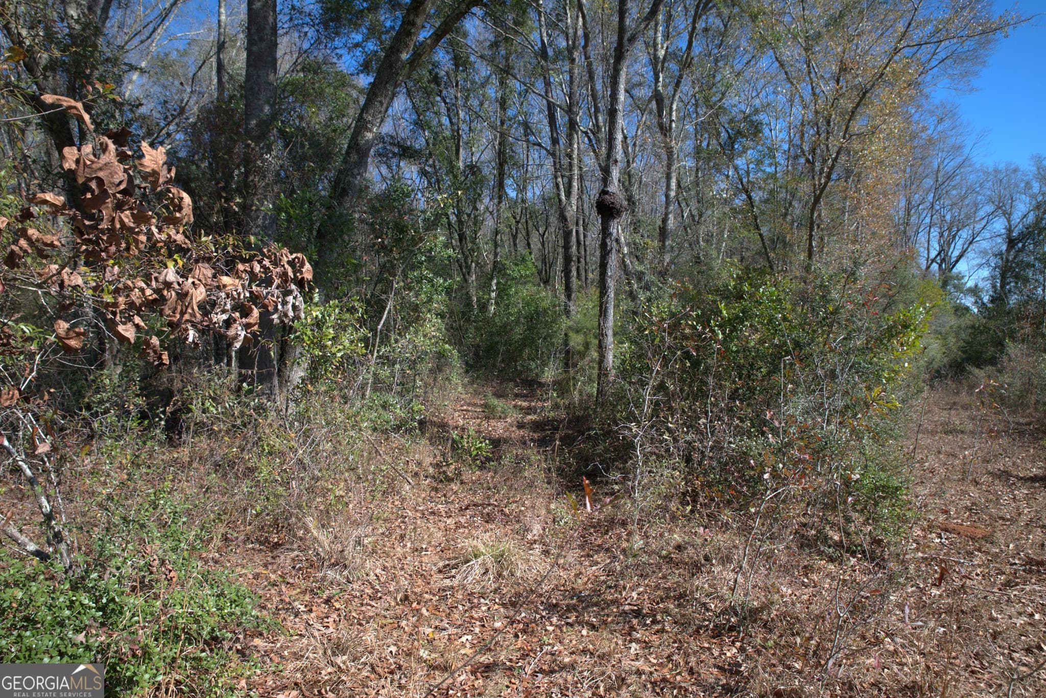 unimproved land for sale at 920 Cordele Road, Albany, GA 31705 — photo 3