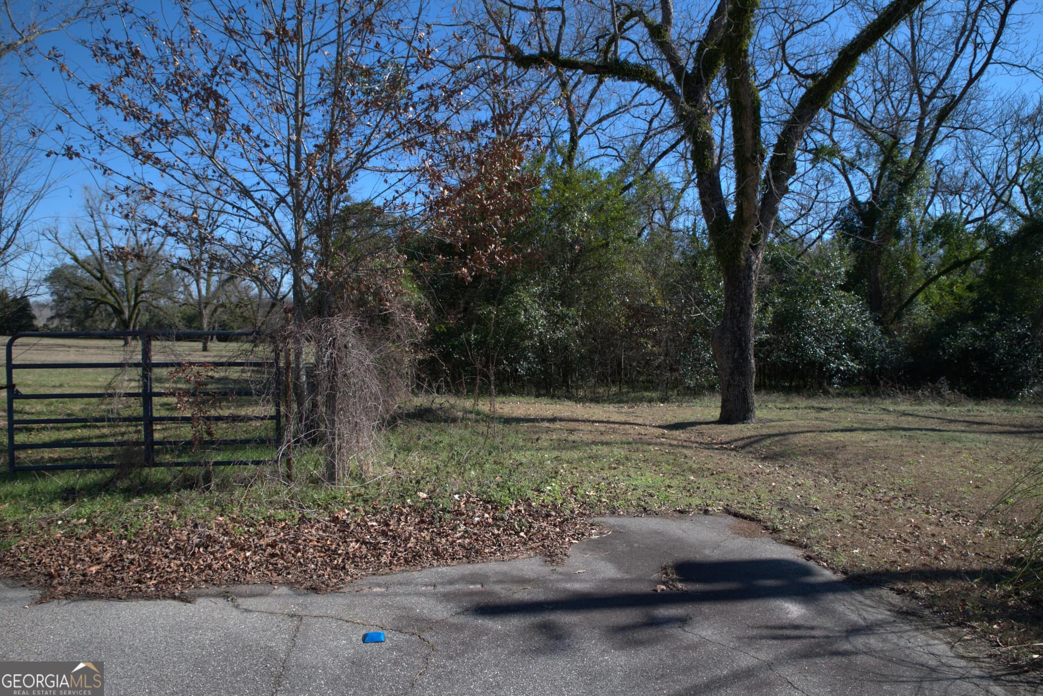 unimproved land for sale at 920 Cordele Road, Albany, GA 31705 — photo 1 of 11