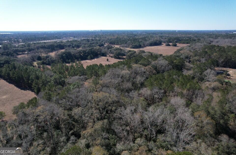 unimproved land for sale at 920 Cordele Road, Albany, GA 31705 — photo 10