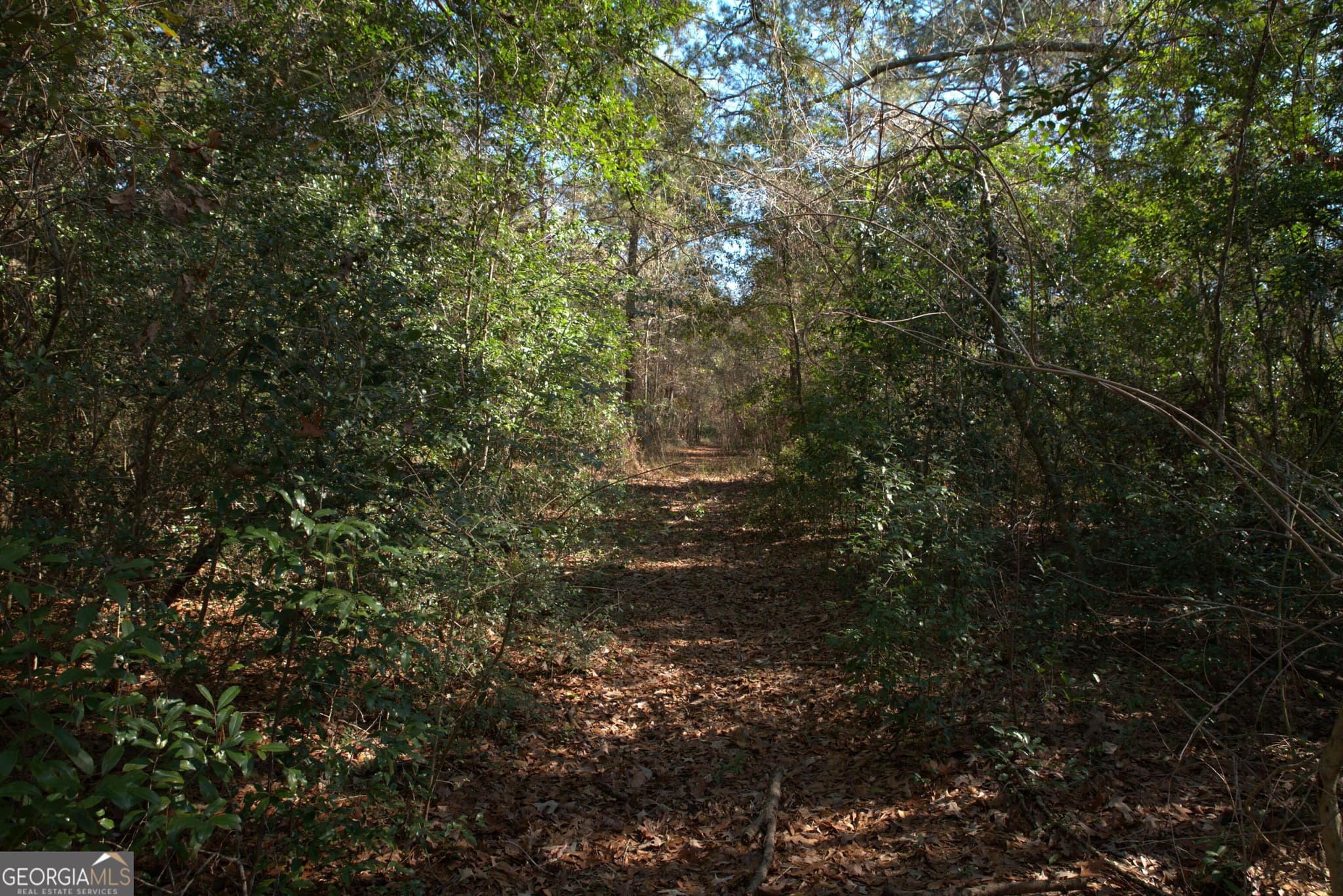 unimproved land for sale at 920 Cordele Road, Albany, GA 31705 — photo 4