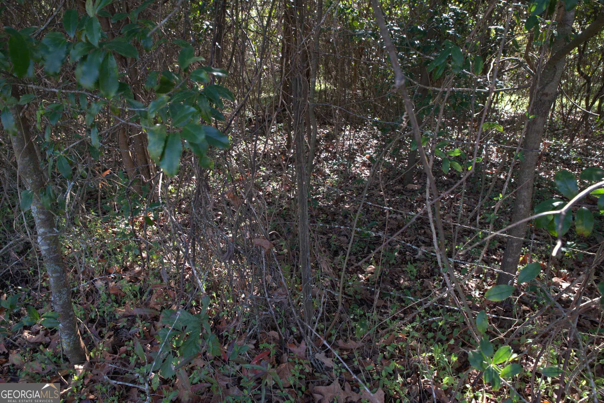 unimproved land for sale at 920 Cordele Road, Albany, GA 31705 — photo 8