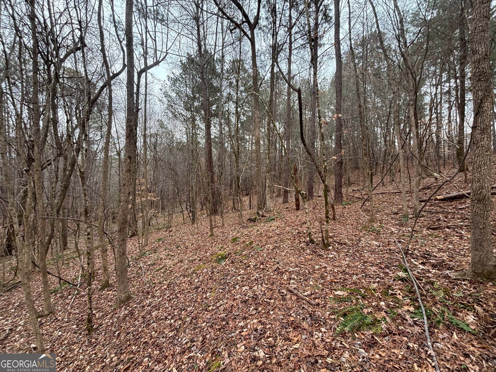 residential lot for sale at 0 Oconee Road LOT 3, Buckhead, GA 30625 — photo 2